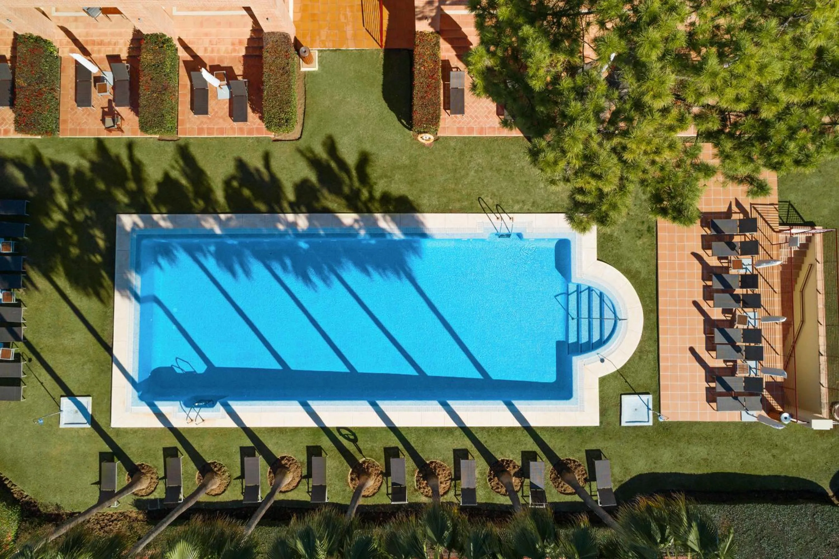 Pool view in Don Carlos Marbella