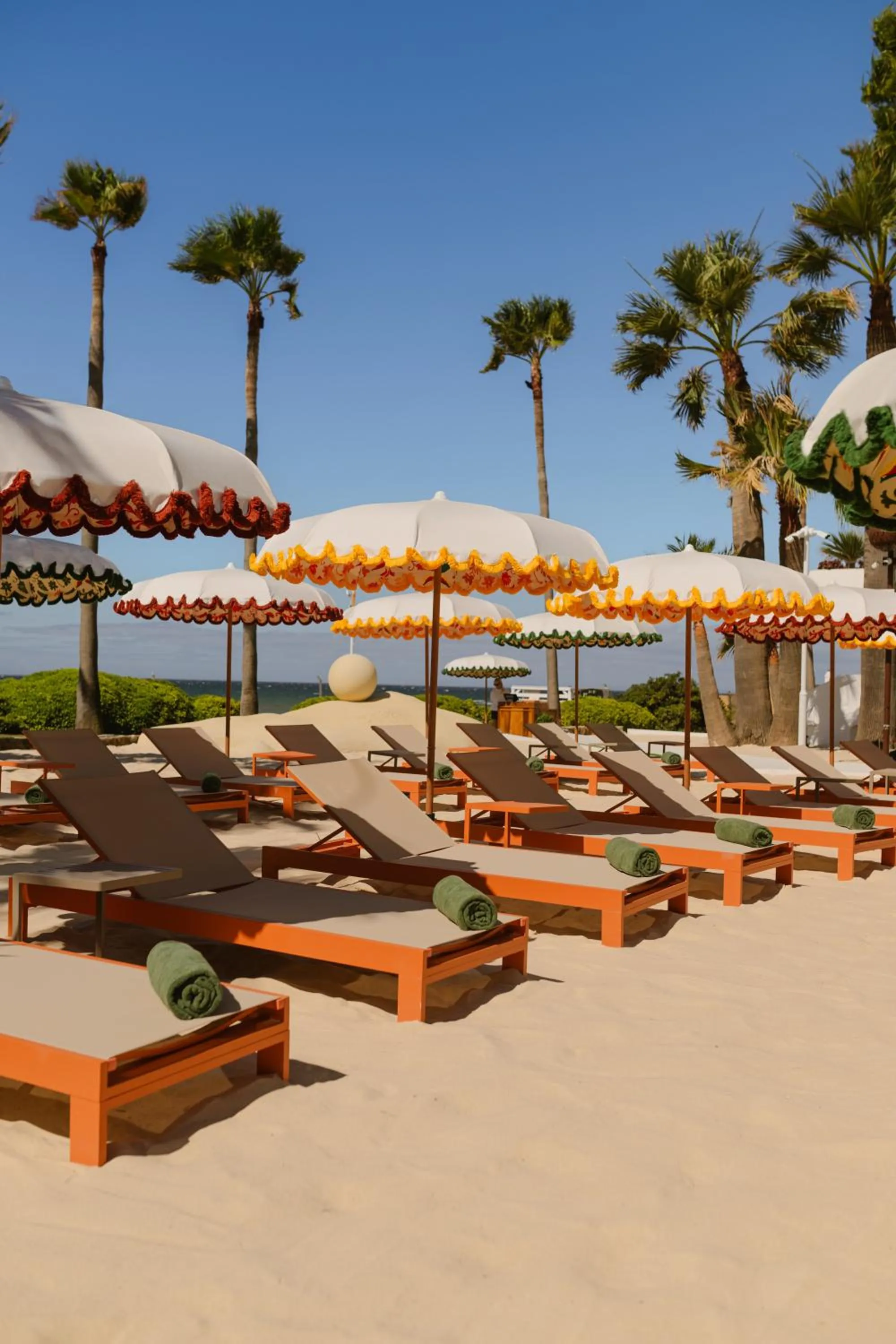 Day in Don Carlos Marbella