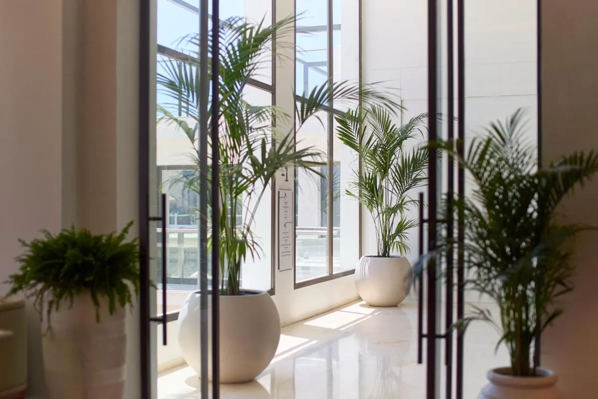 Restaurant/places to eat in Don Carlos Marbella