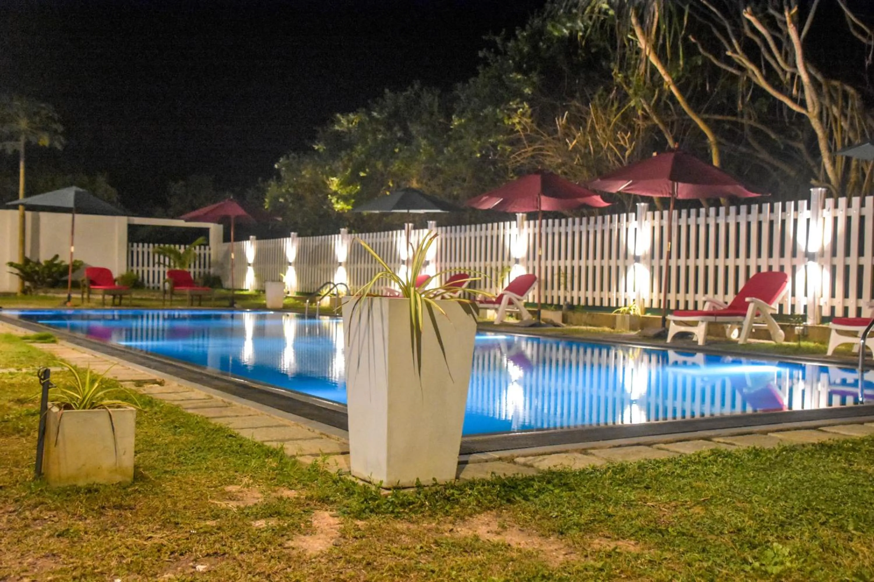 Garden in ARA Beach Resort Mirissa