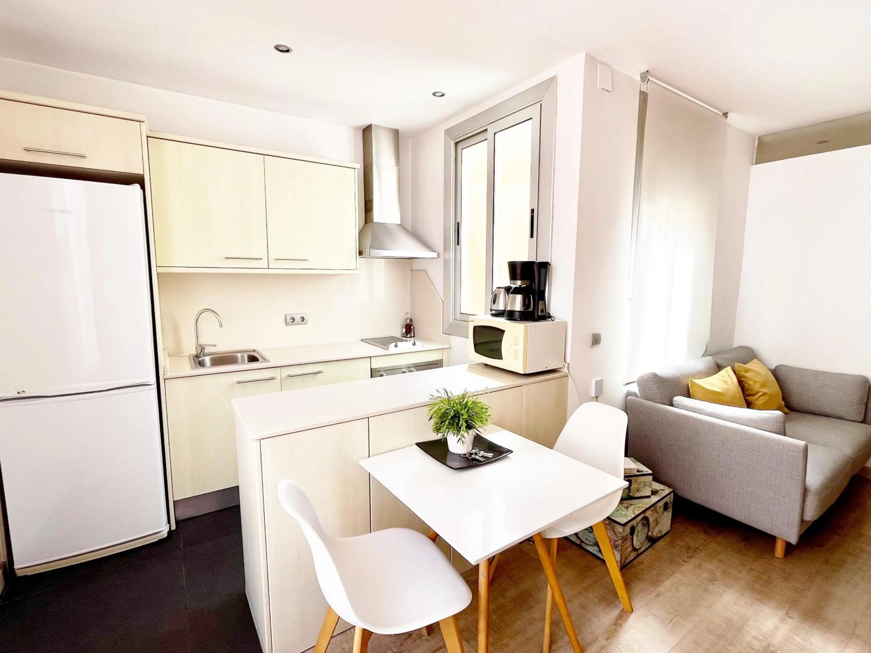 Kitchen or kitchenette in Feelathome Center Apartments