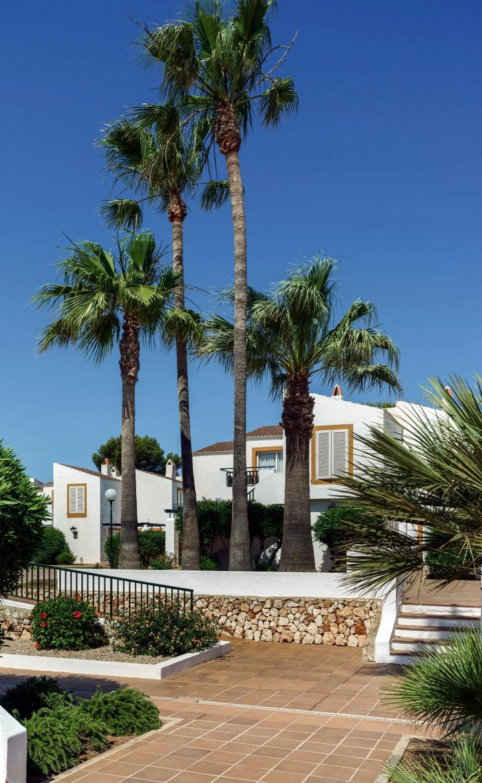 Patio in AluaSun Lago Park