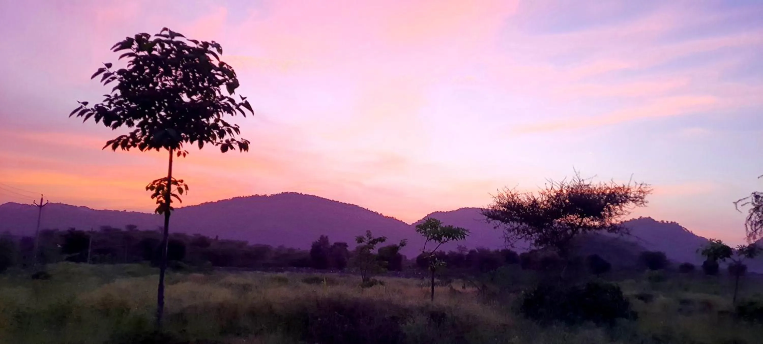 Natural landscape in Sariska Kasba - A Village Resort