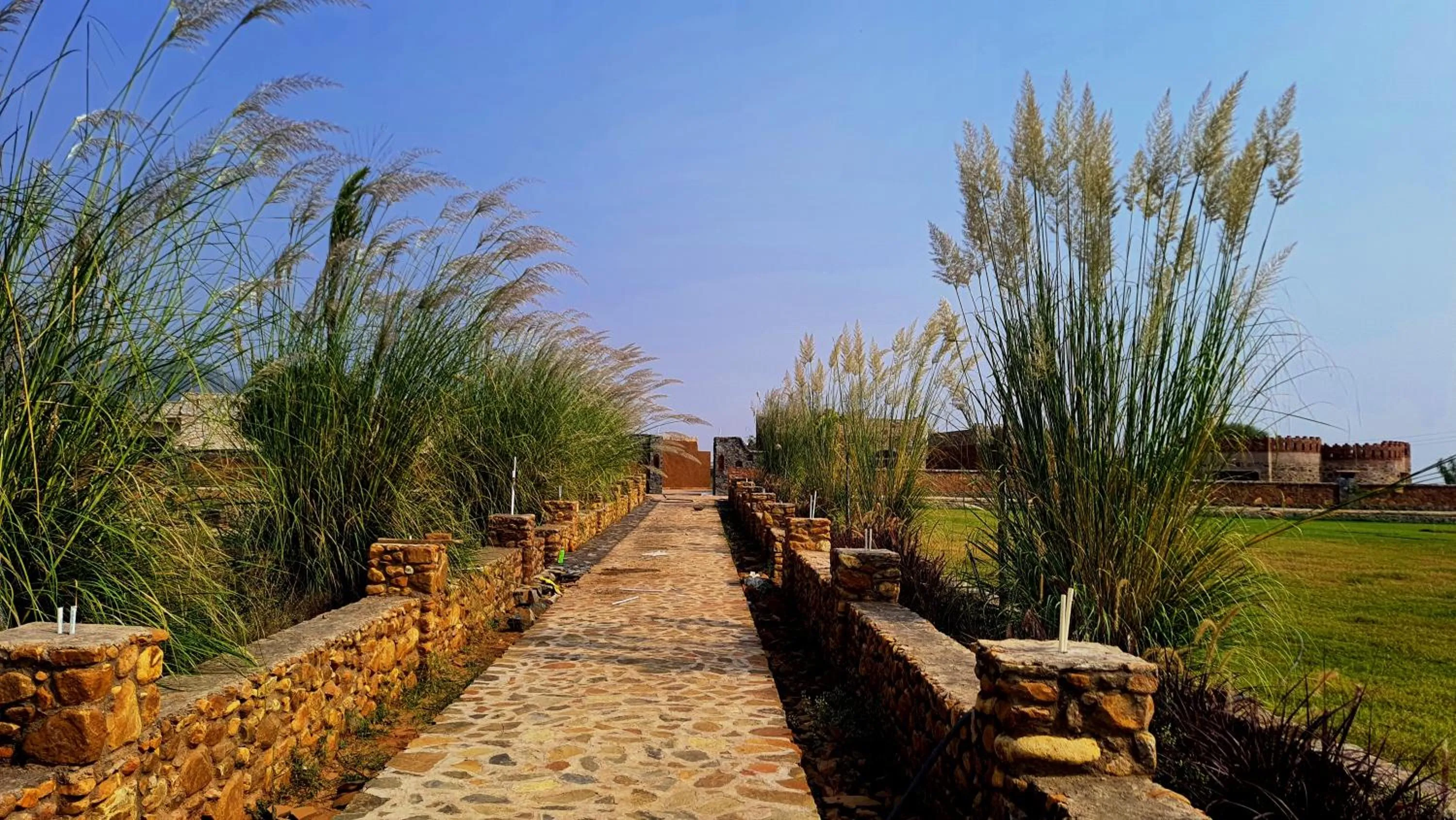 Garden in Sariska Kasba - A Village Resort