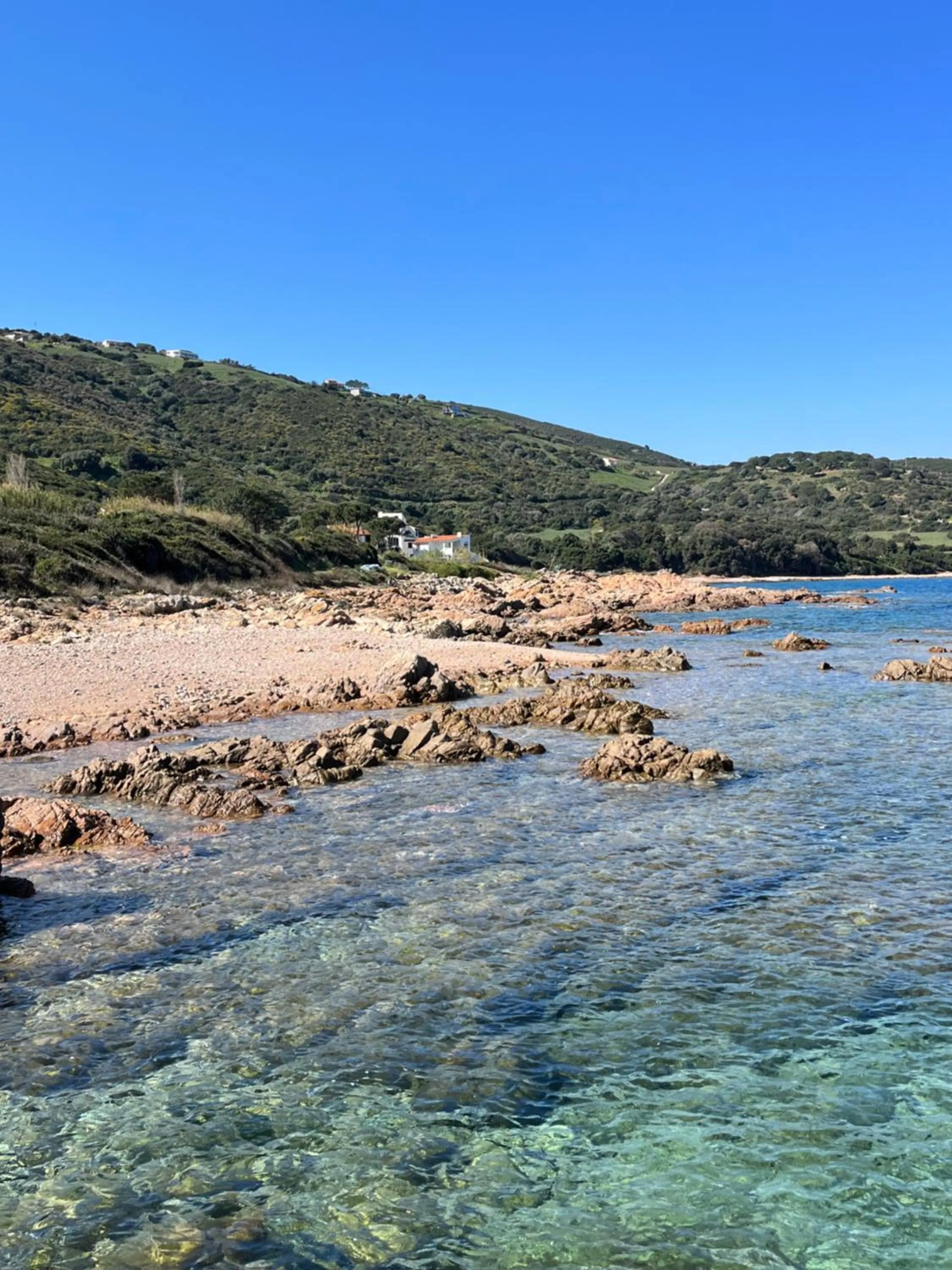 Snorkeling in Résidence Punta paliagi