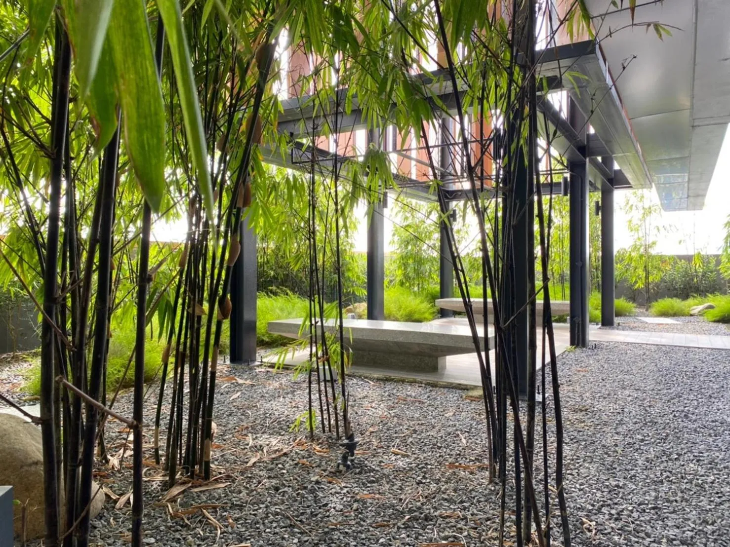 The Dolphin Lucentia Bukit Bintang KLCC Kuala Lumpur