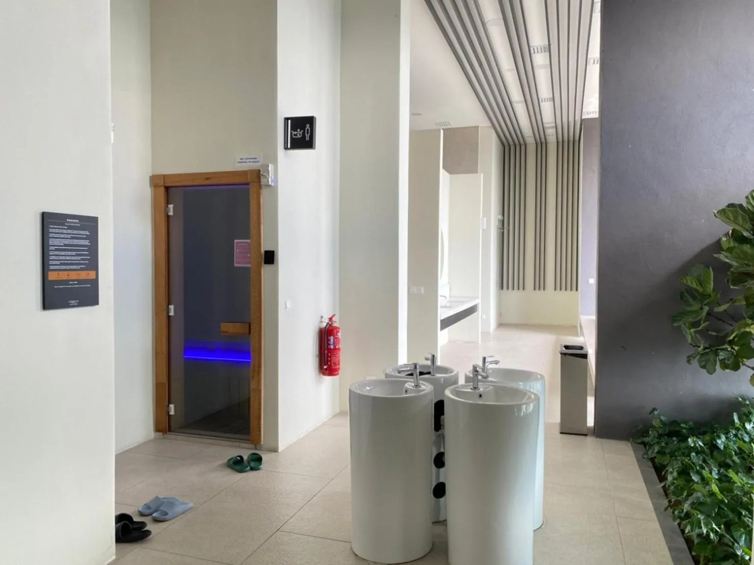 The Dolphin Lucentia Bukit Bintang KLCC Kuala Lumpur