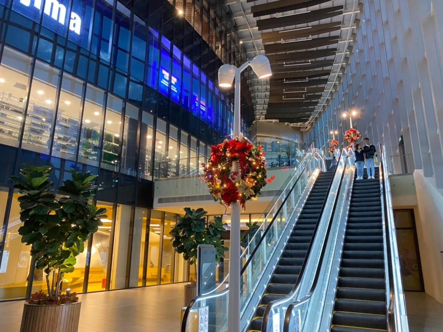 The Dolphin Lucentia Bukit Bintang KLCC Kuala Lumpur