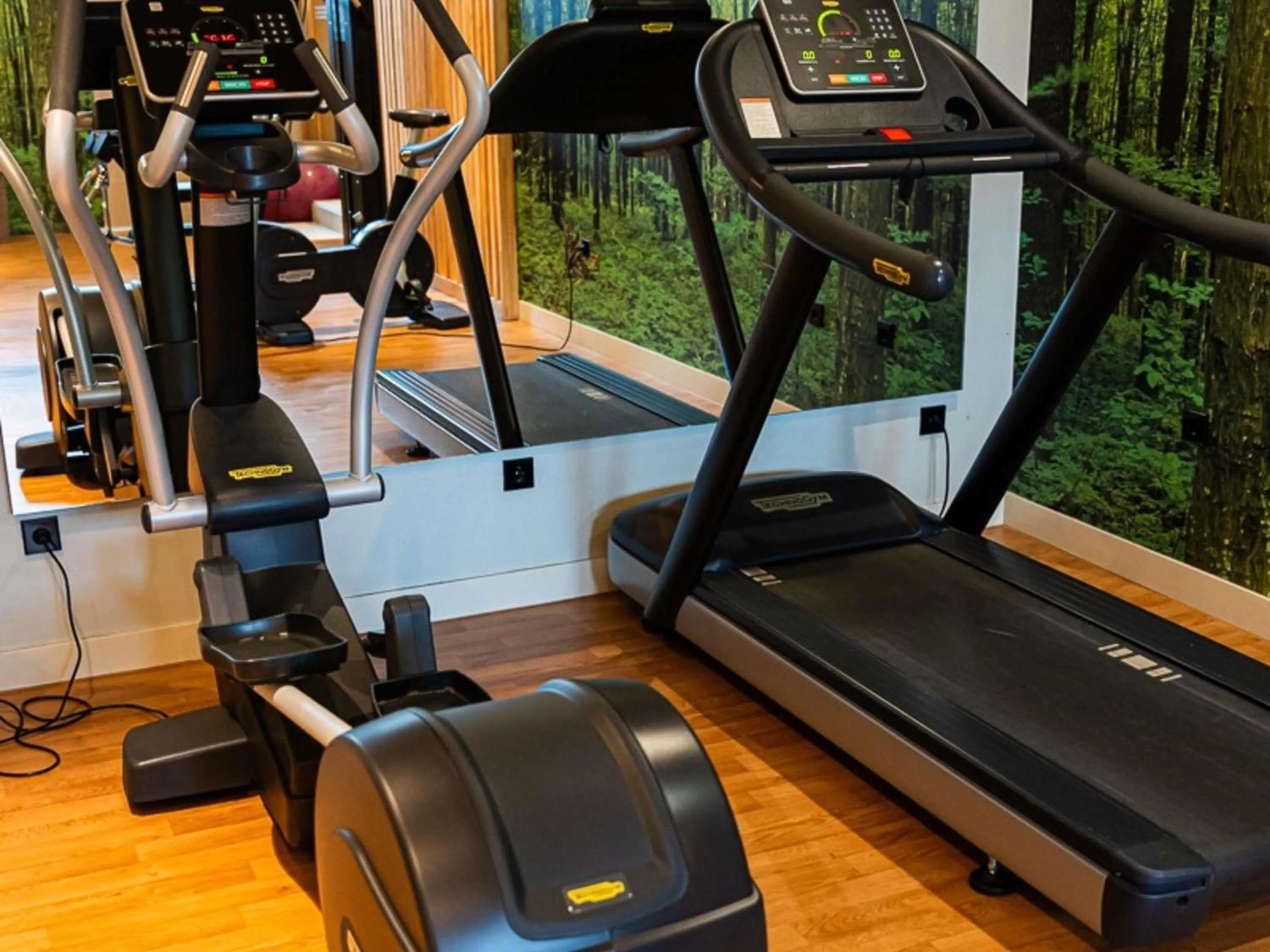 Fitness centre/facilities in Novotel Madrid City Las Ventas