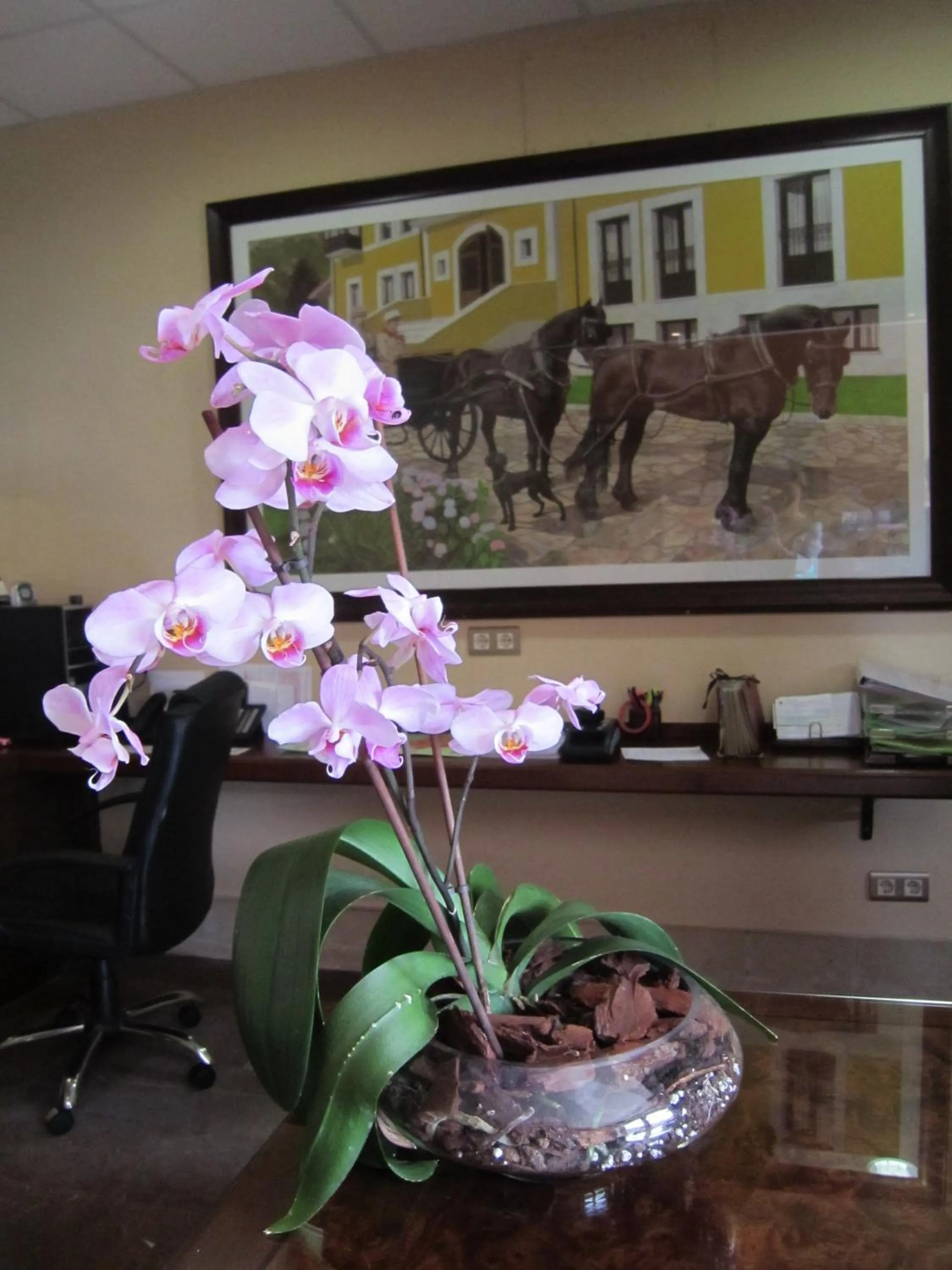 Lobby or reception in Hotel Finca La Mansión