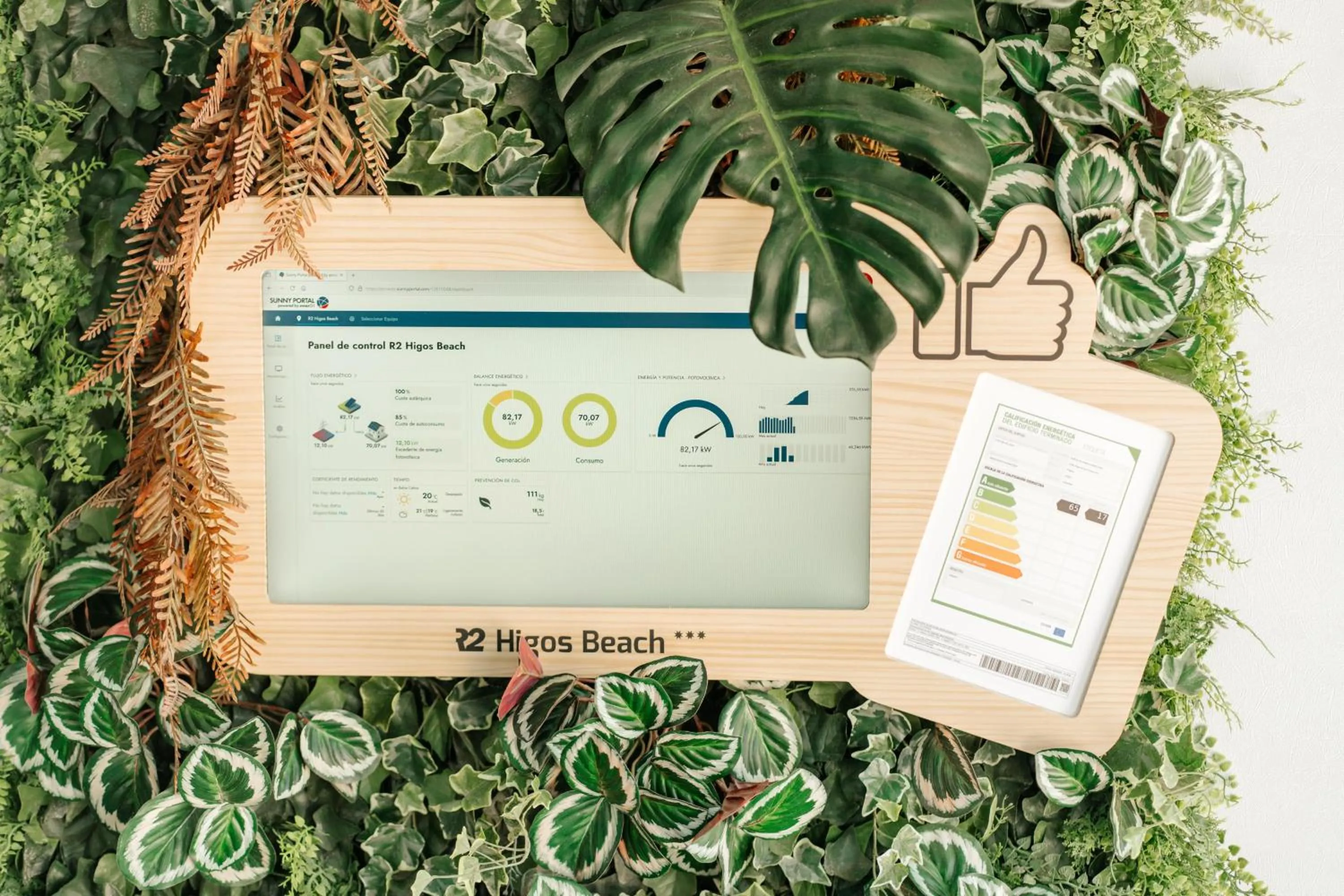 Other in R2 HIGOS BEACH