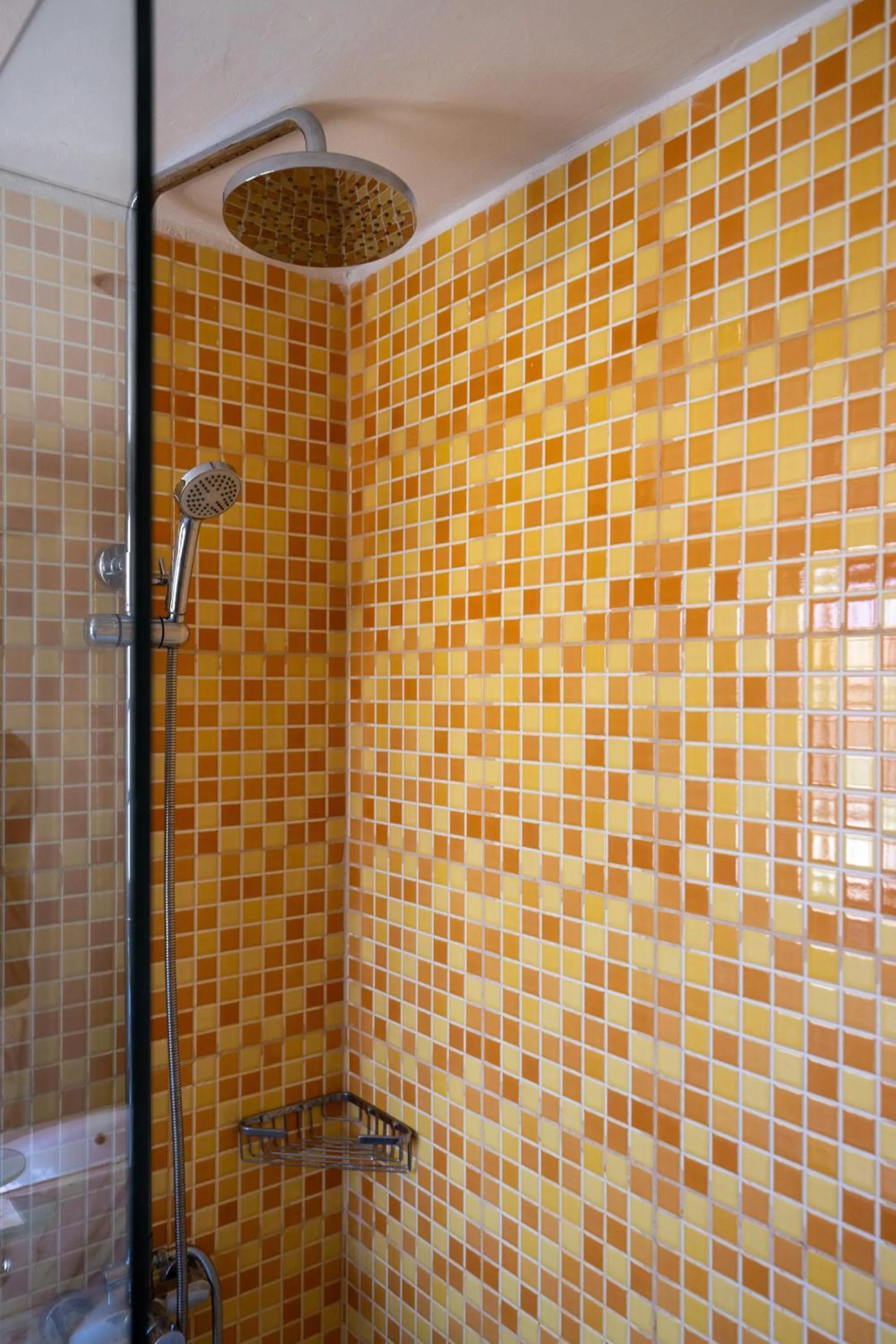 Shower in Fuentepark Apartments