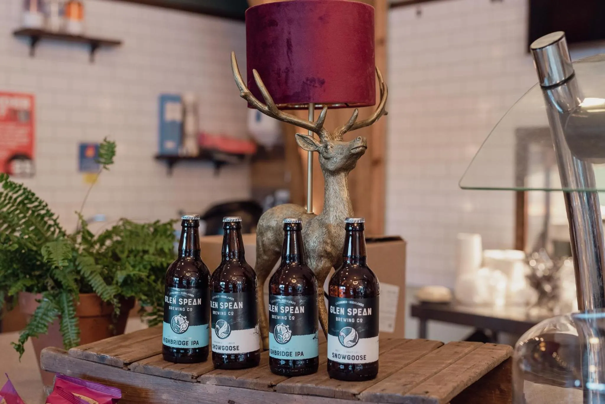 Lounge or bar in The Base Camp Hotel, Nevis Range