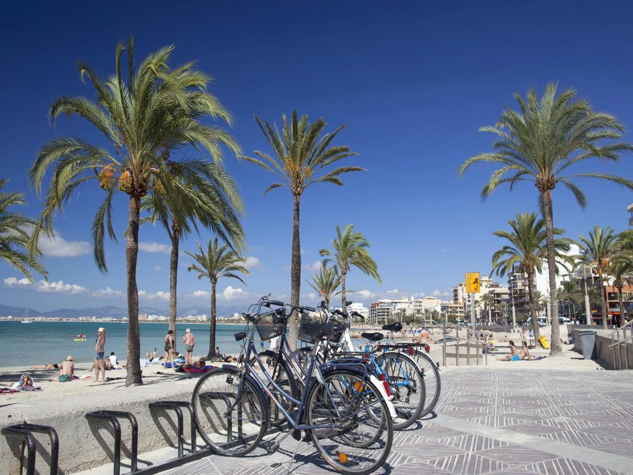 Area and facilities in whala!beach