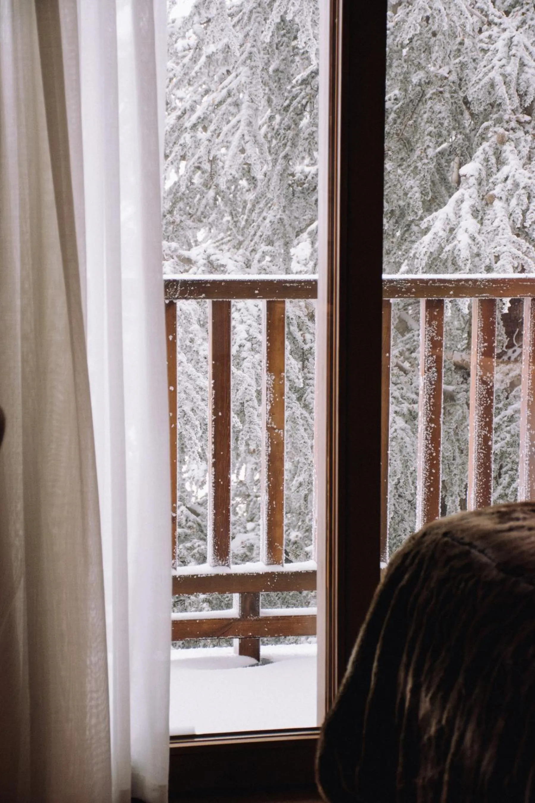 Balcony/Terrace in Hotel Maribel