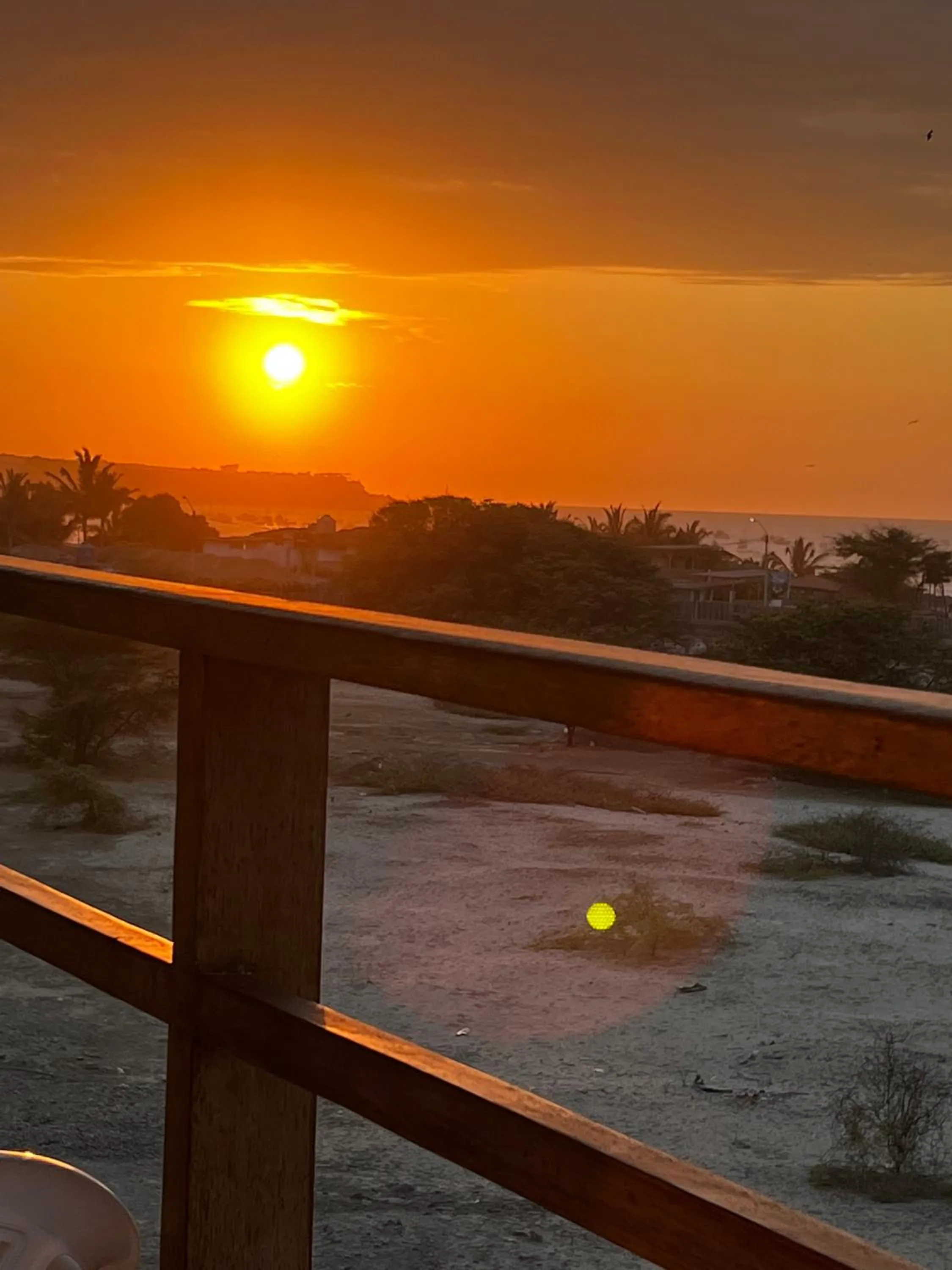 View (from property/room) in Gamora Hotel Playa