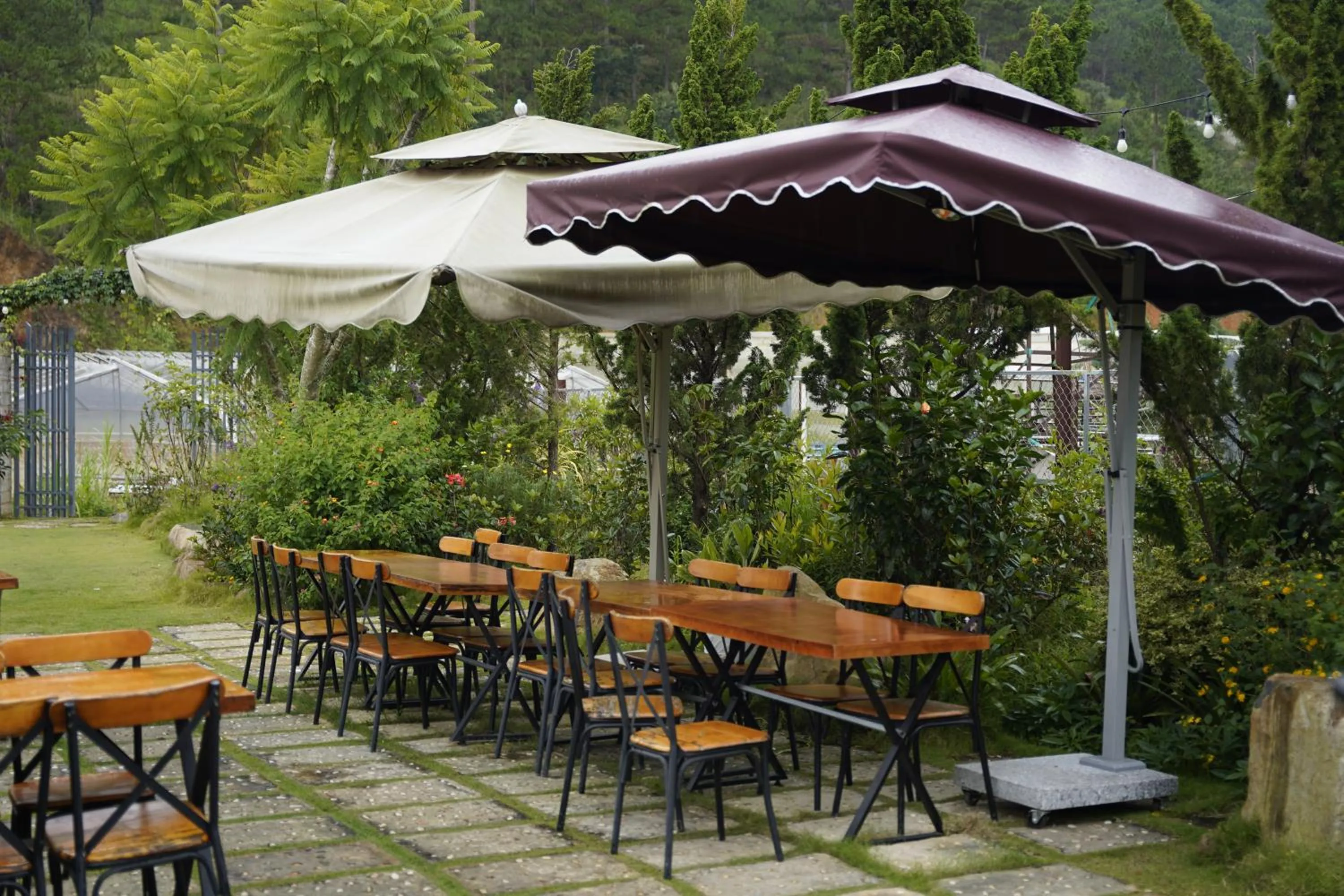 Garden in GREENECO DA LAT HOTEL - Khách sạn Green Eco Đà Lạt