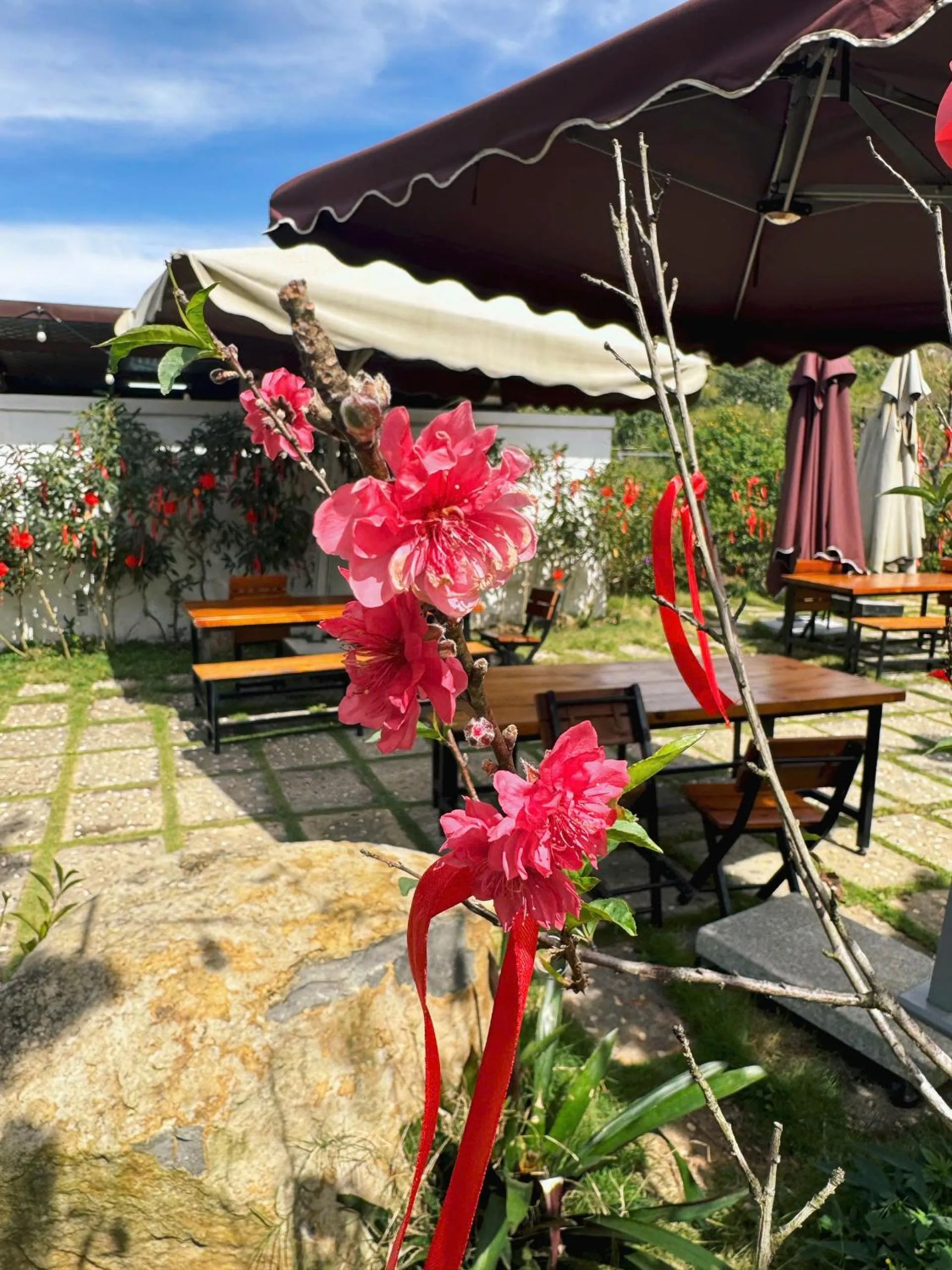 Property building in GREENECO DA LAT HOTEL - Khách sạn Green Eco Đà Lạt