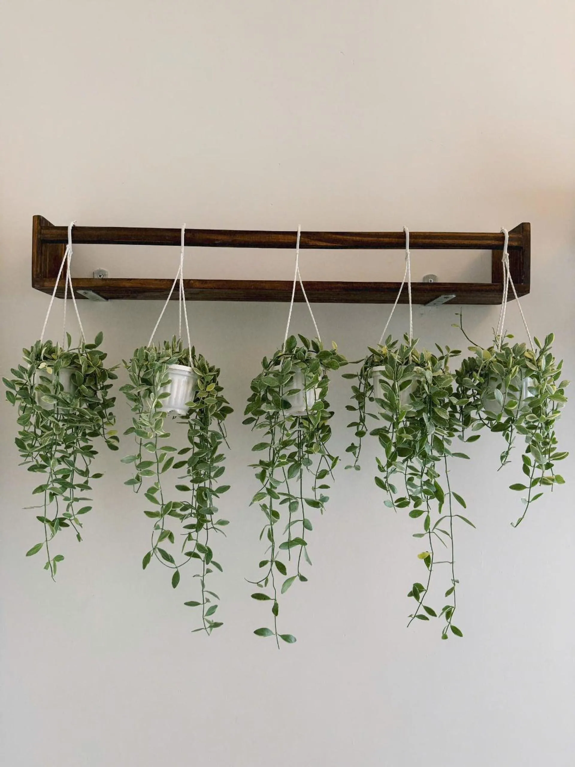 Property building in GREENECO DA LAT HOTEL - Khách sạn Green Eco Đà Lạt