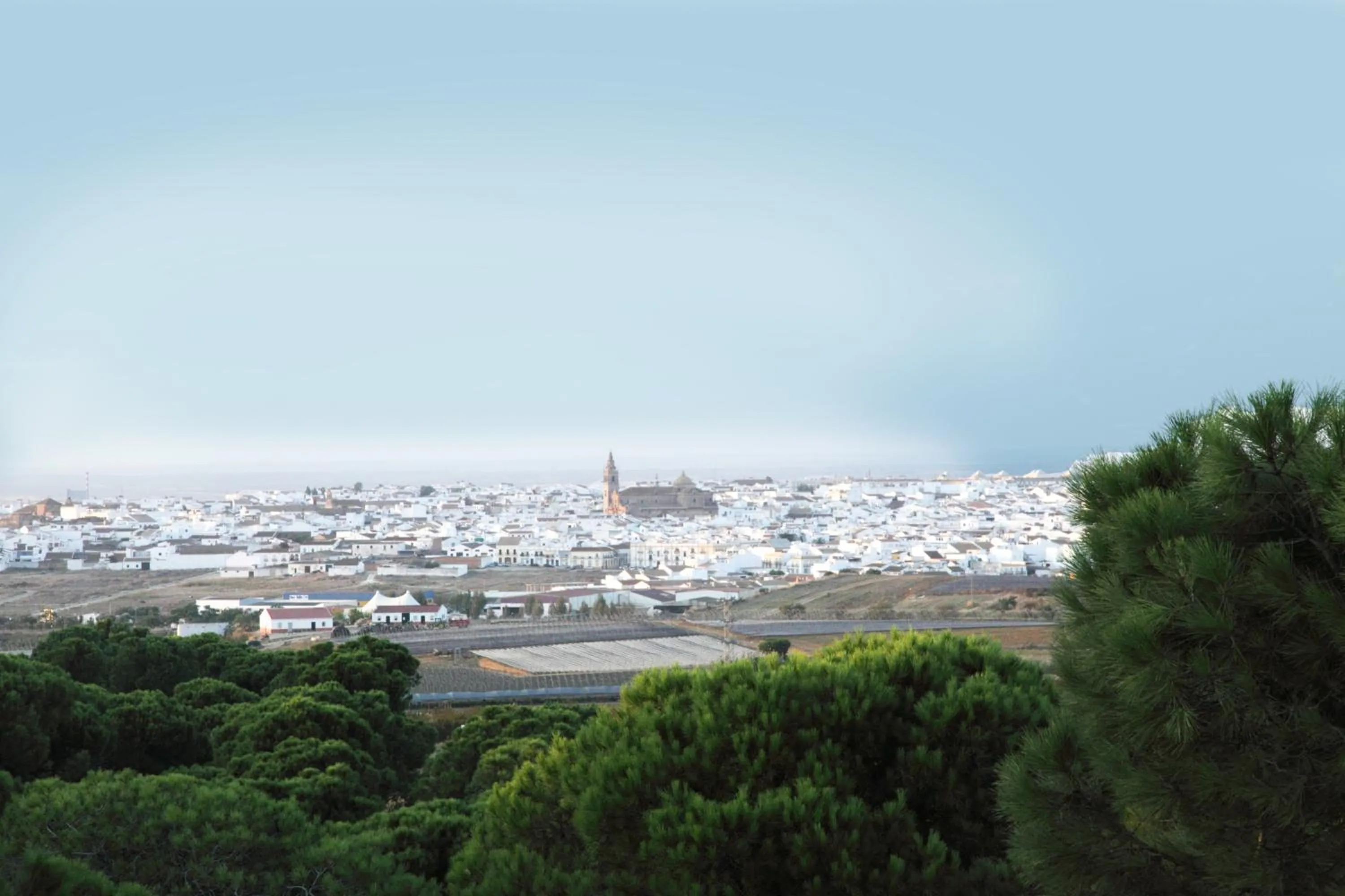 Area and facilities in Complejo Turístico Rural Nazaret De Moguer