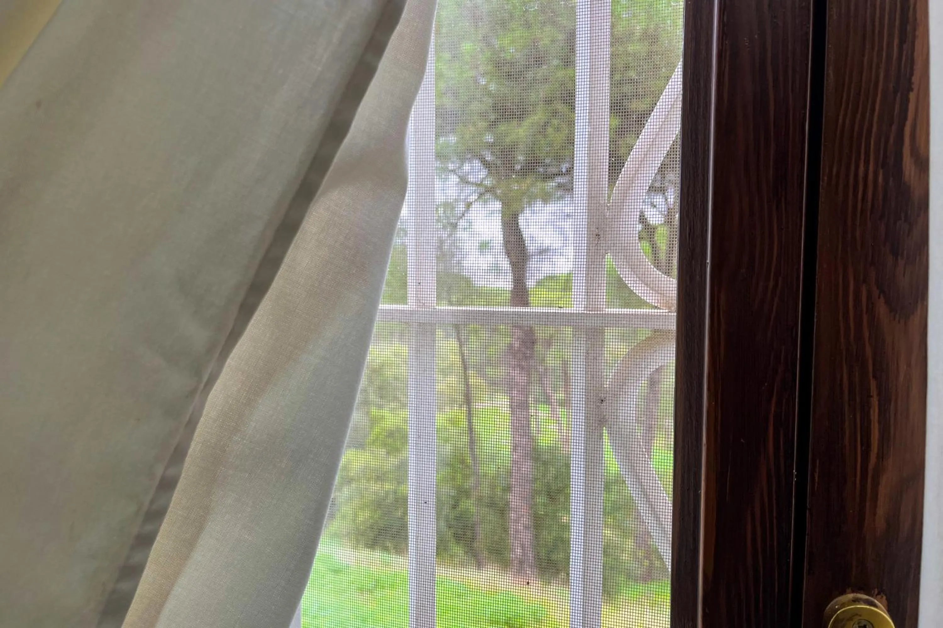 Garden view in Complejo Turístico Rural Nazaret De Moguer