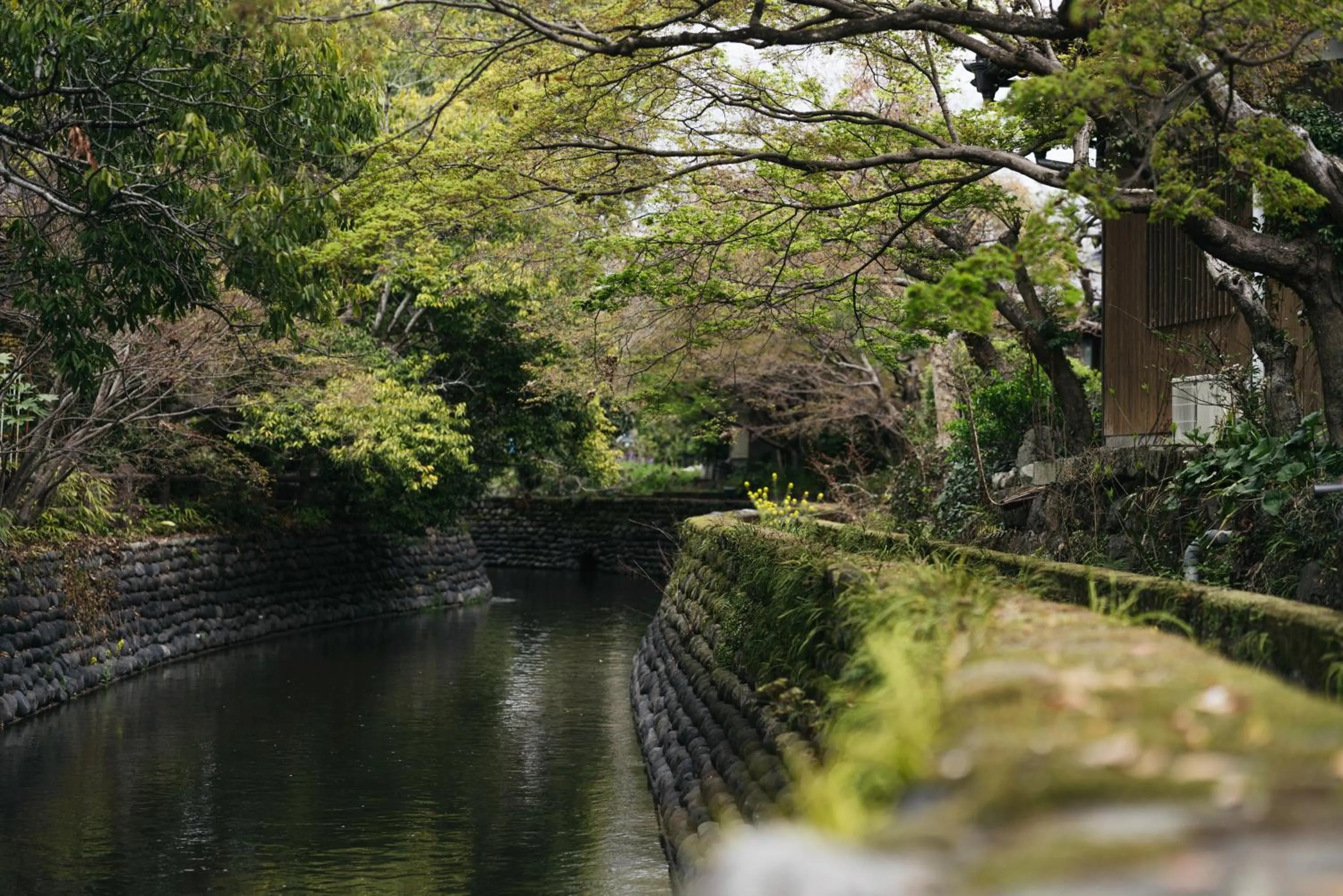 River view in Minamo