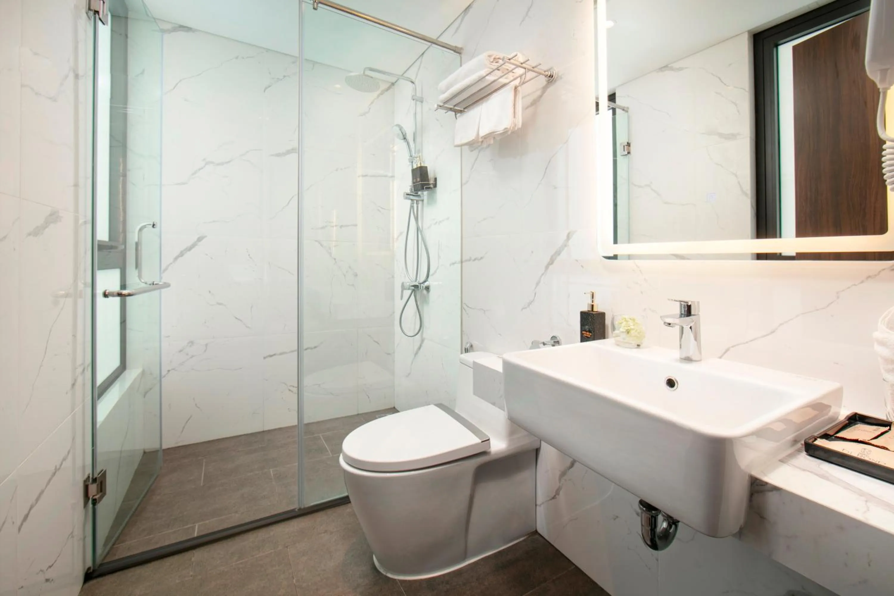 Toilet in Hotel De Rond