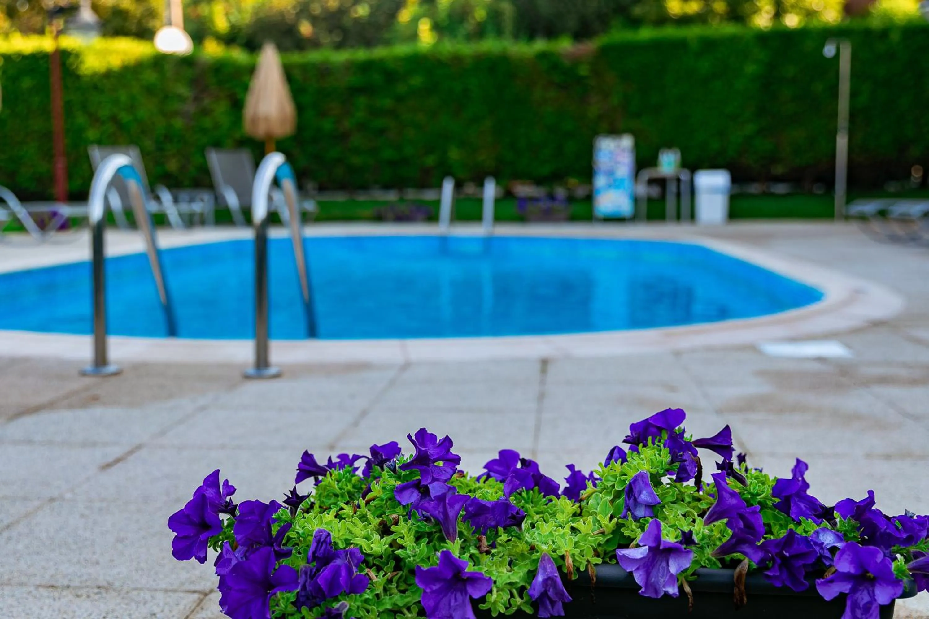 Swimming pool in Hotel Lombiña