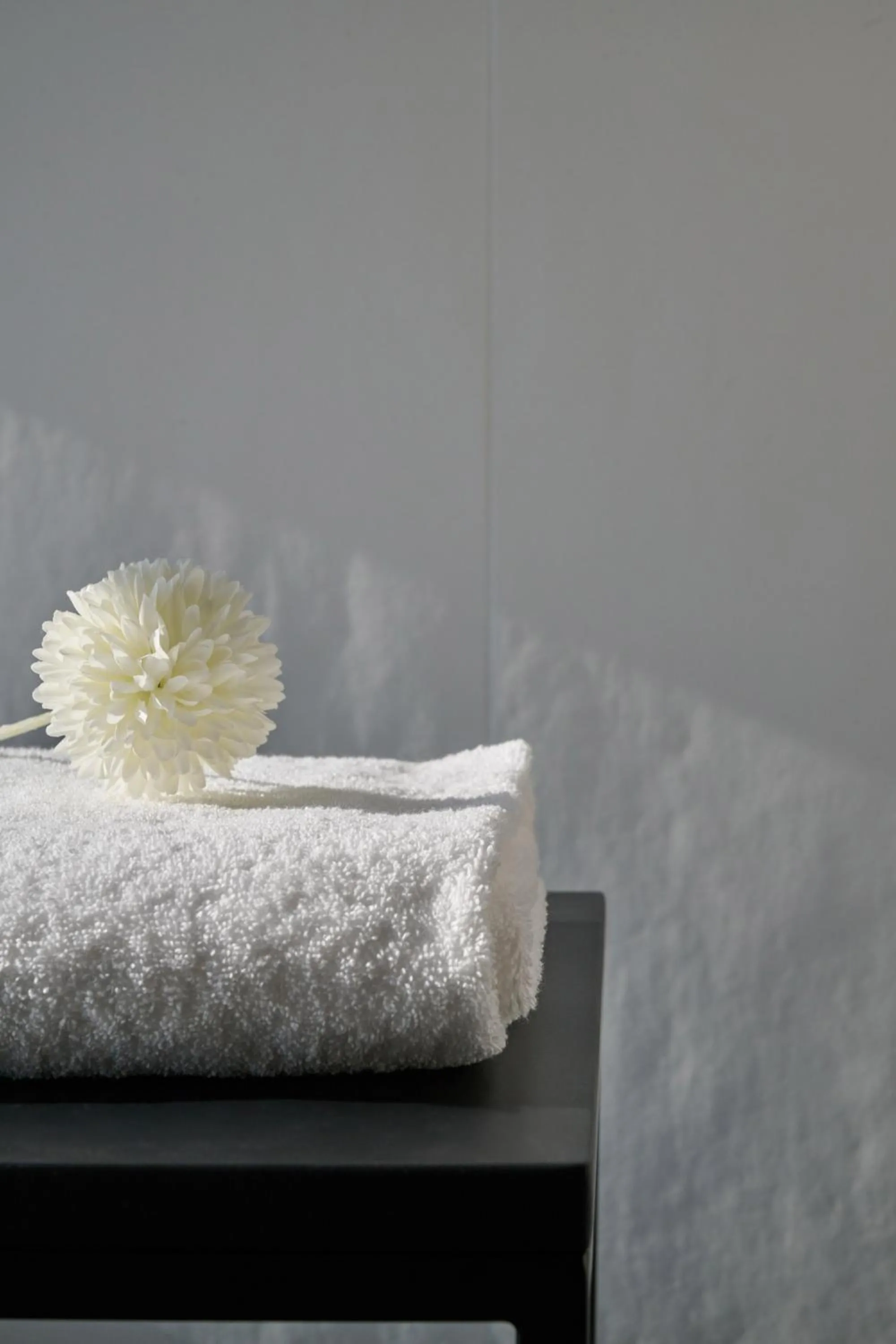 RMH Modena Raffaello