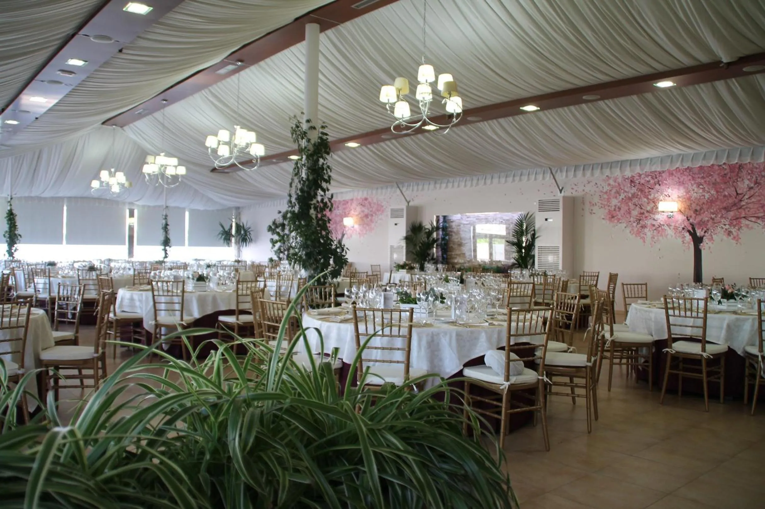 Restaurant/places to eat in Hotel Mozárbez Salamanca