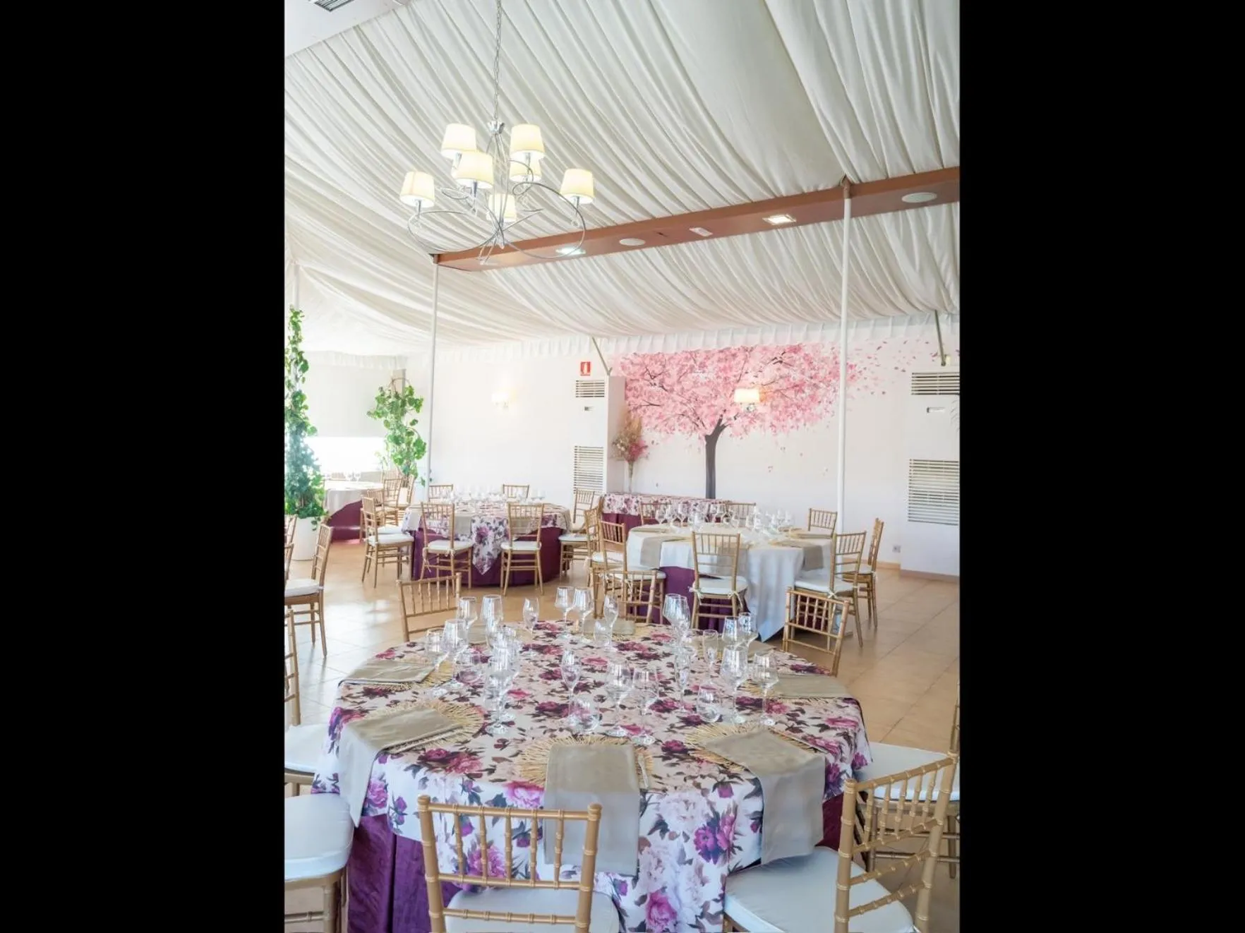 Banquet/Function facilities in Hotel Mozárbez Salamanca