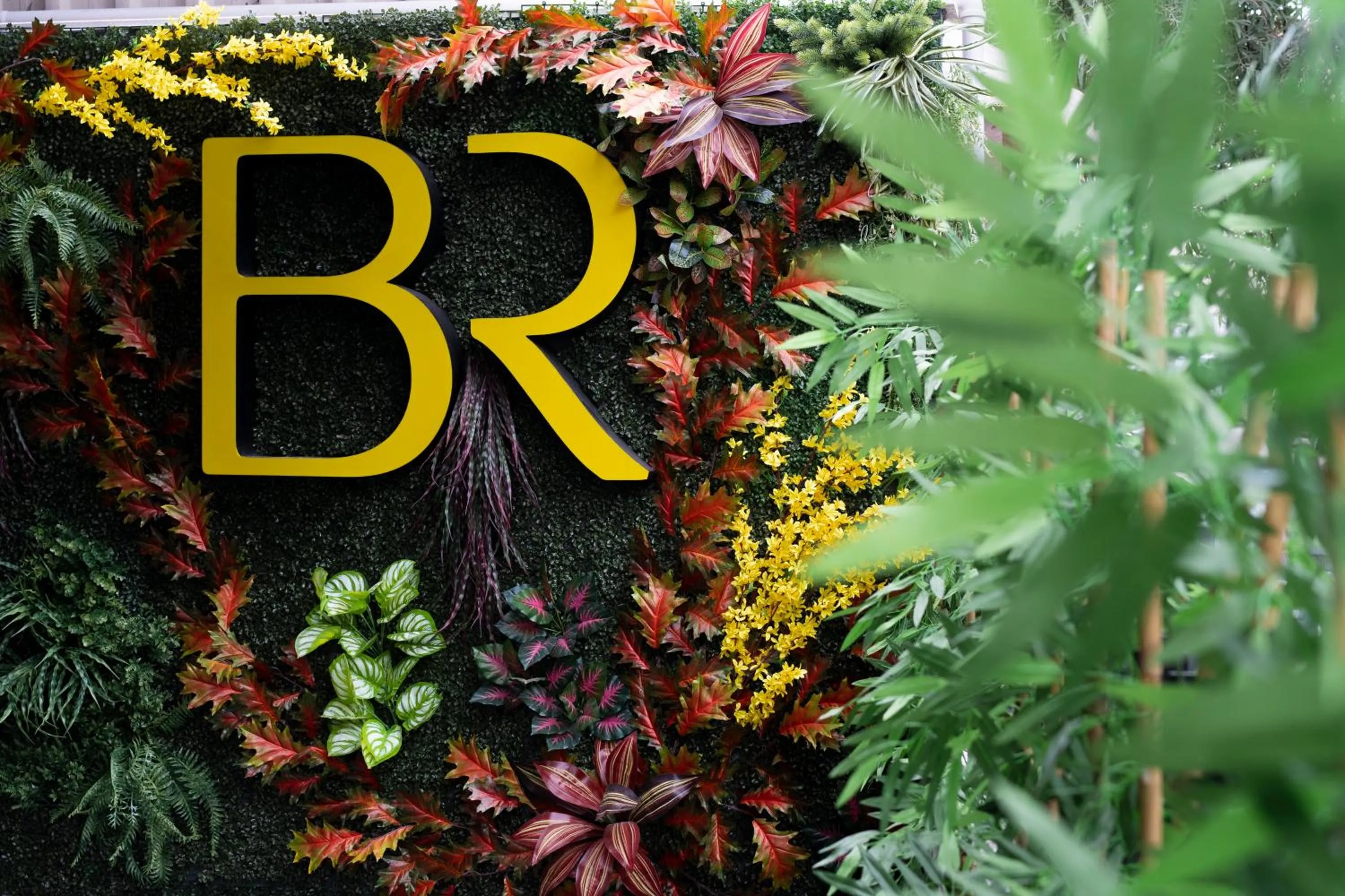 Garden in BRANDROOM HOTEL