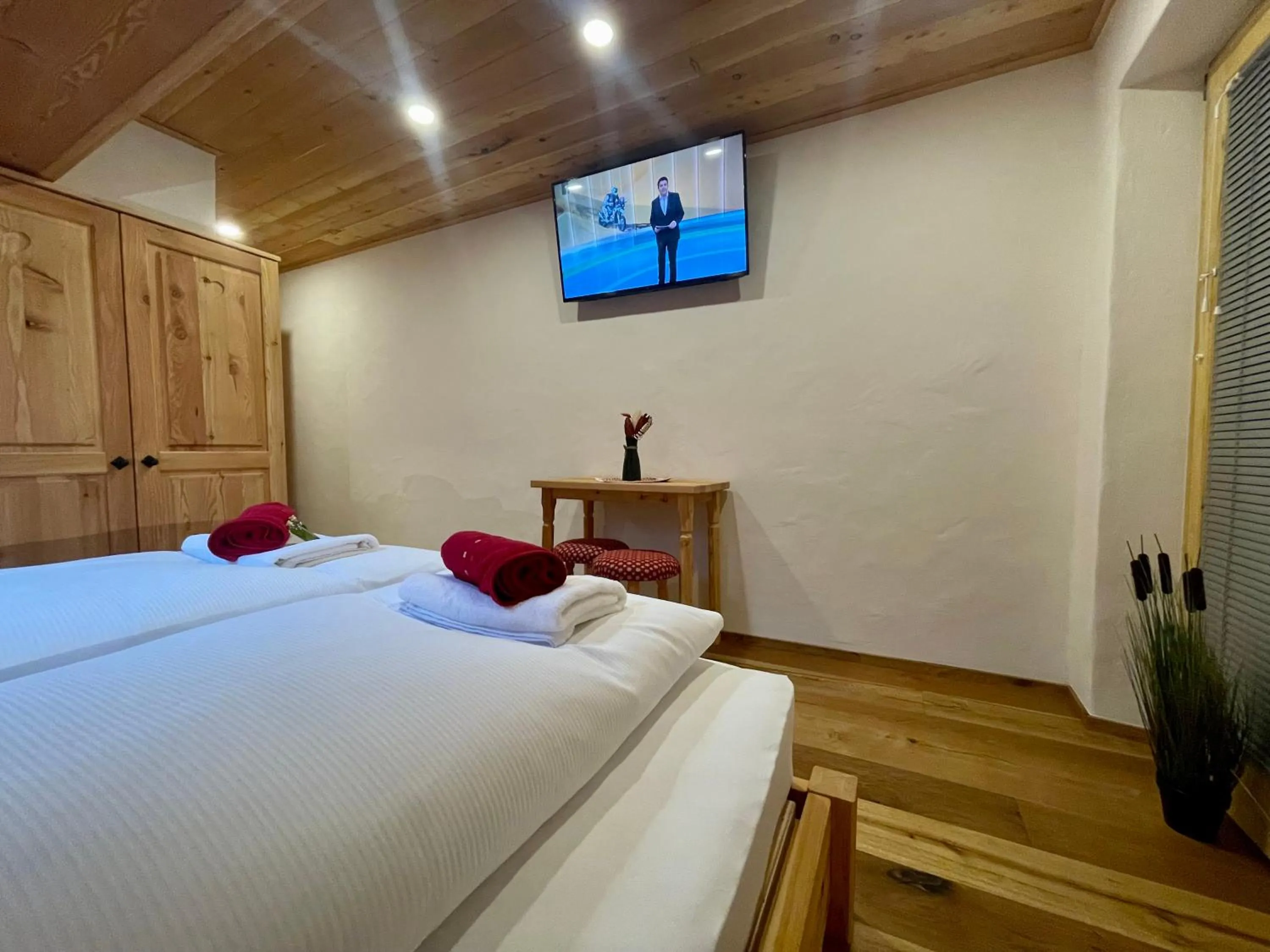 TV and multimedia, Bed in Hotel ŠURC