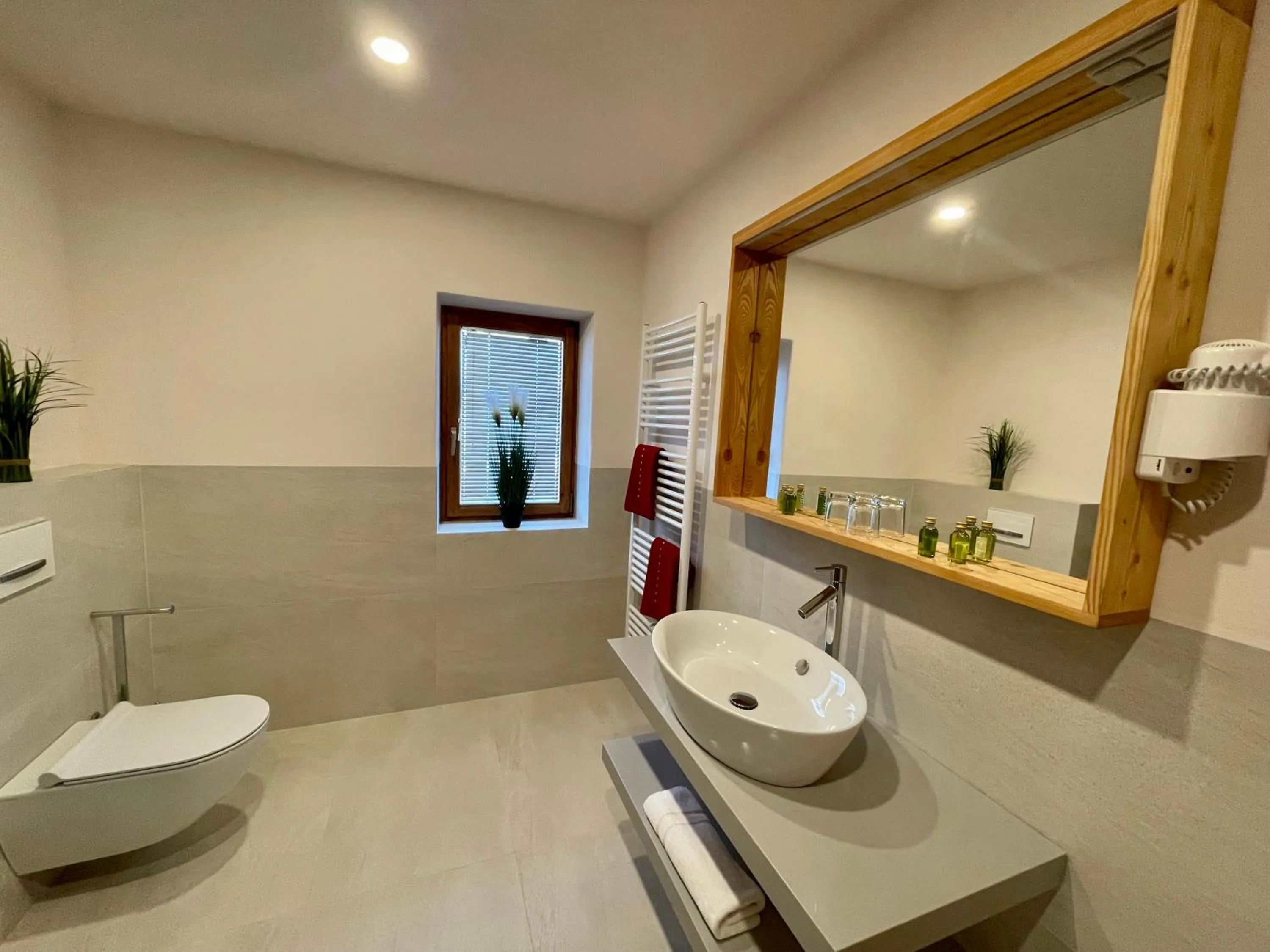 Toilet in Hotel ŠURC