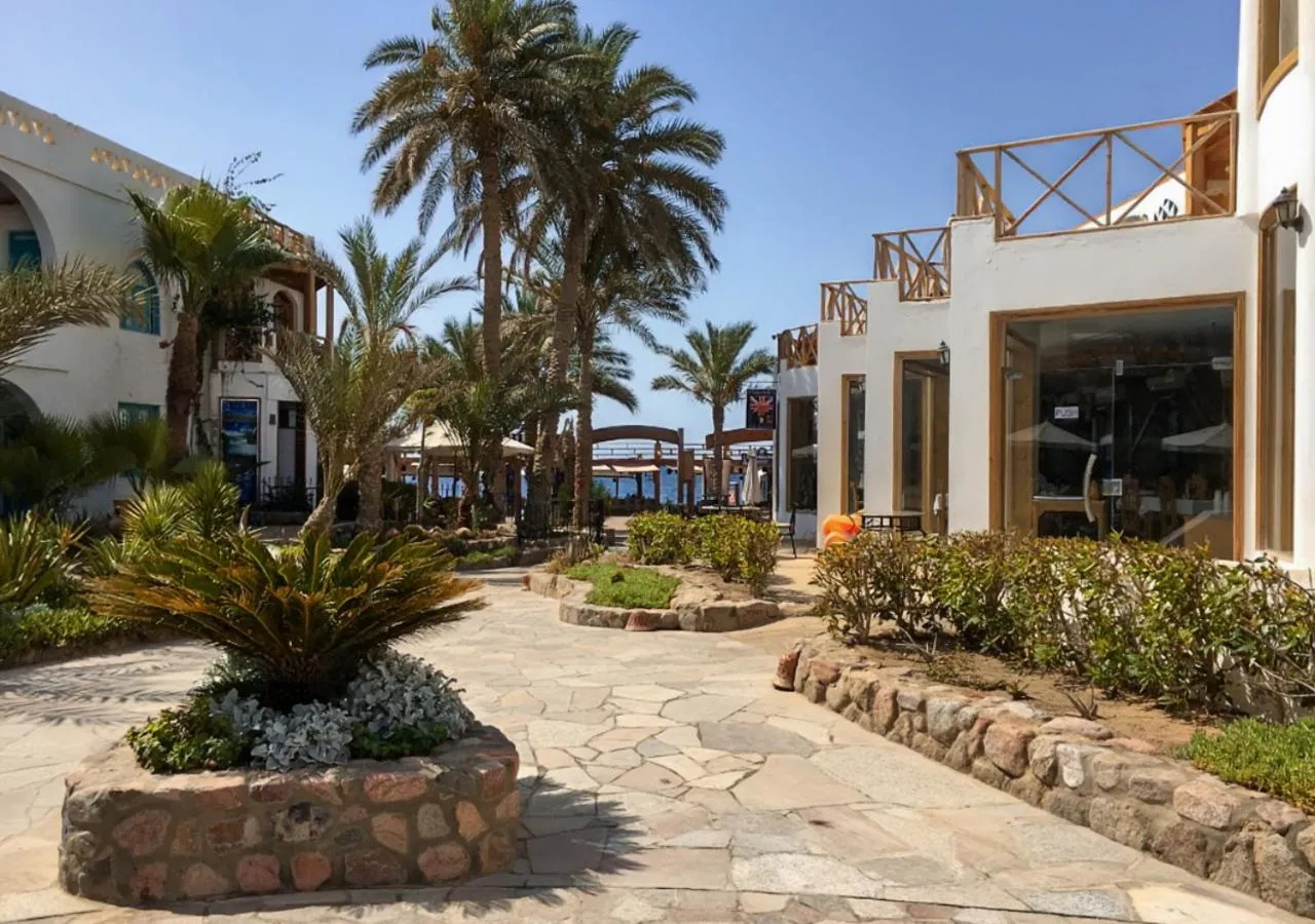 Facade/entrance in Red Sea Relax Hotel