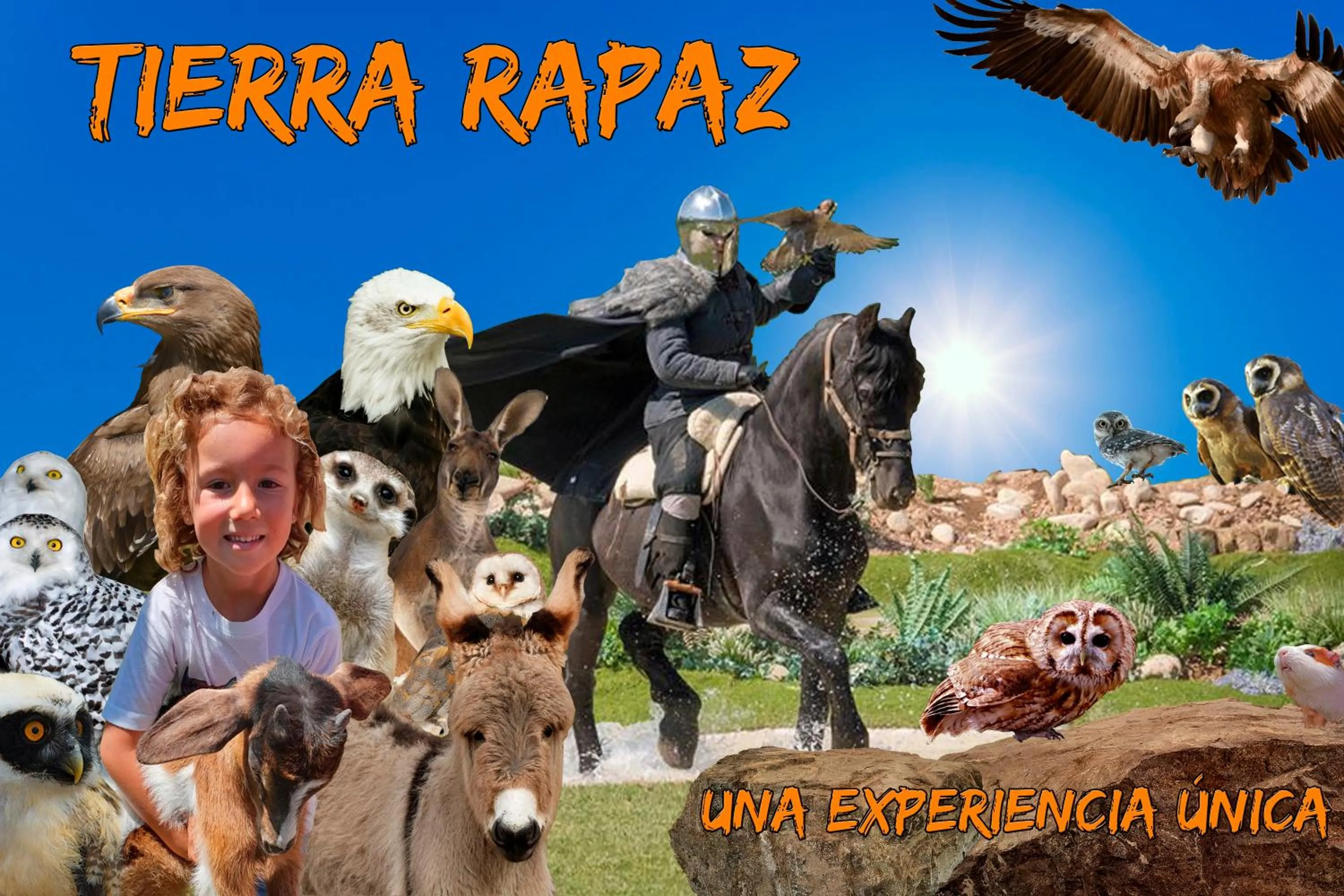 Entertainment in Hotel Palacios