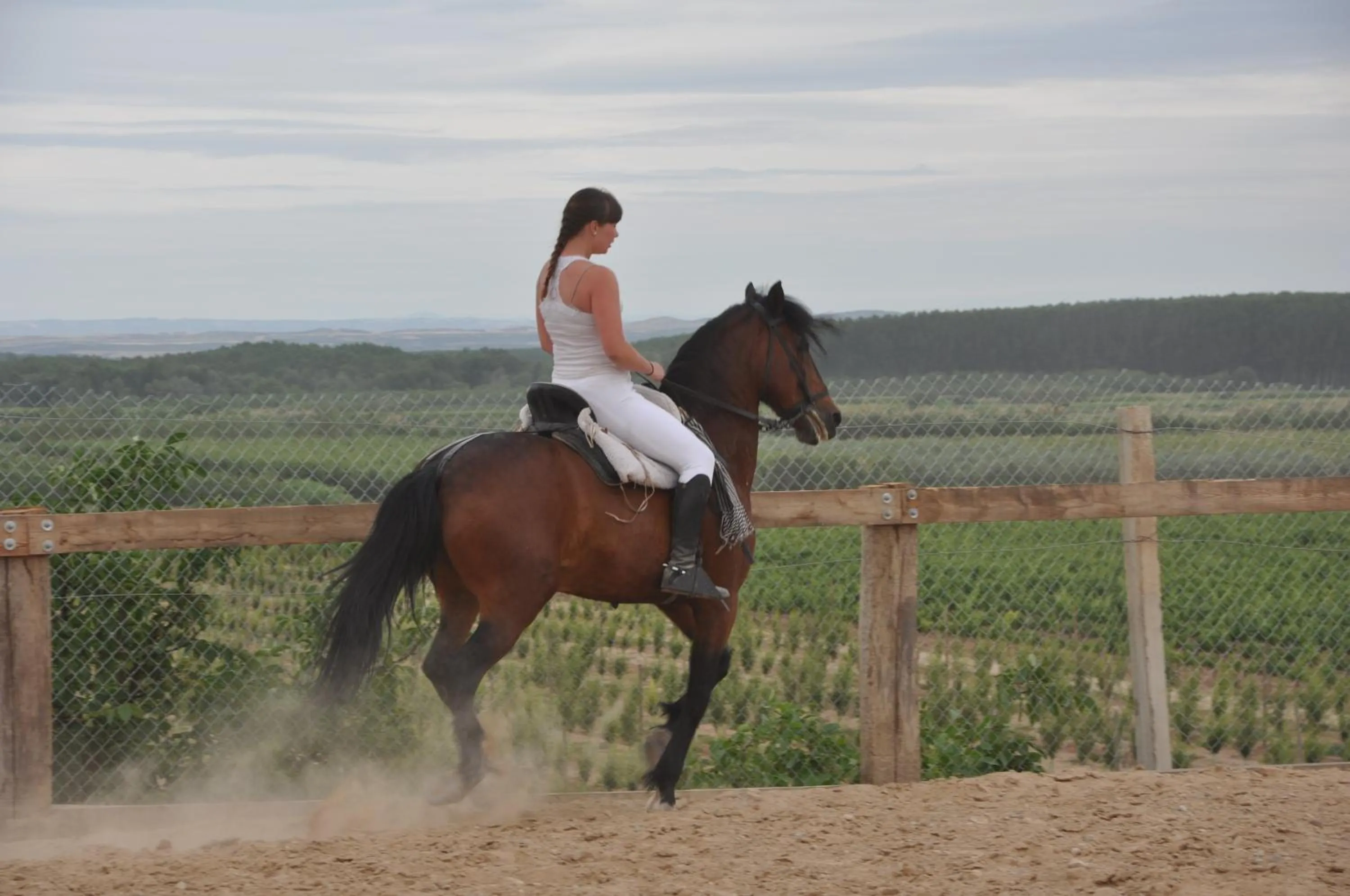 Entertainment in Hotel Palacios