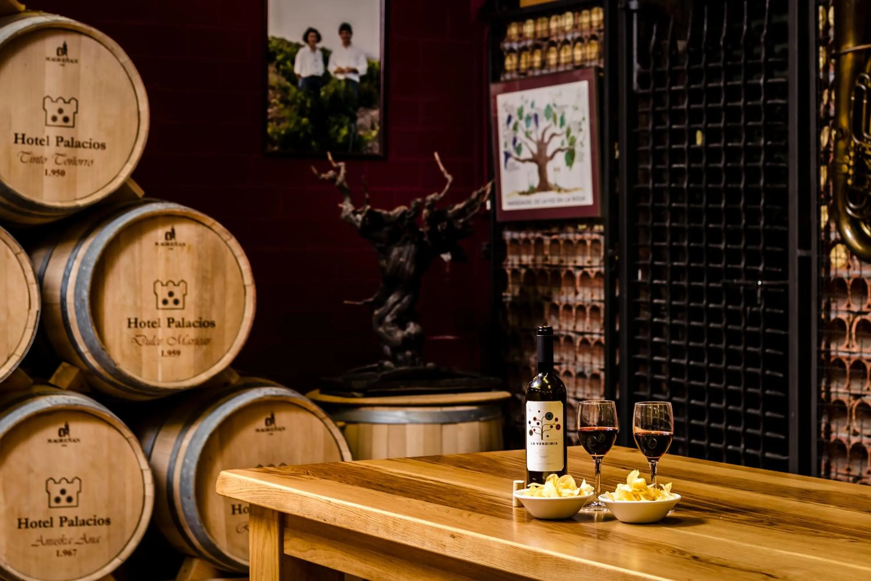 Entertainment in Hotel Palacios