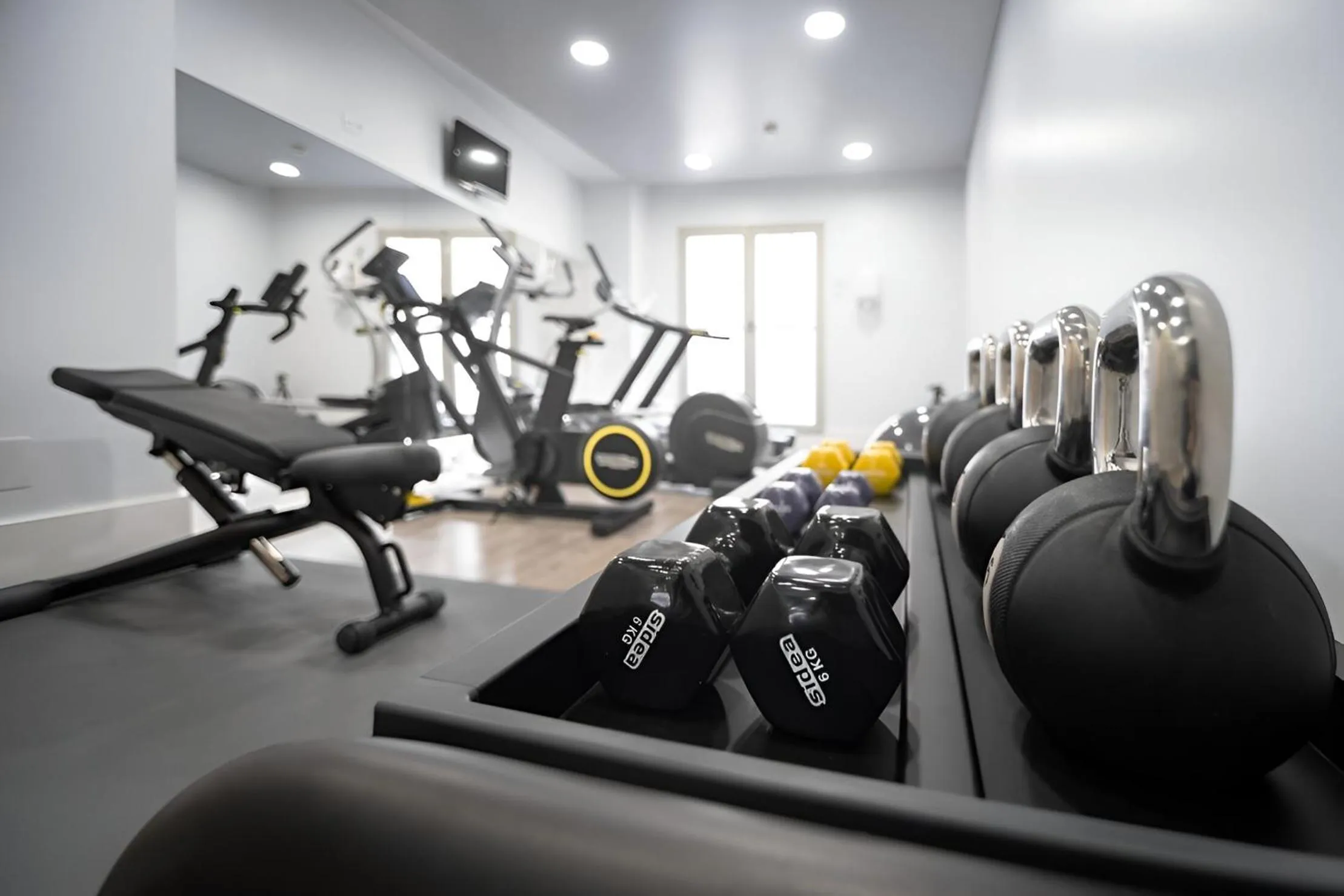 Fitness centre/facilities in Suites Viena Plaza de España