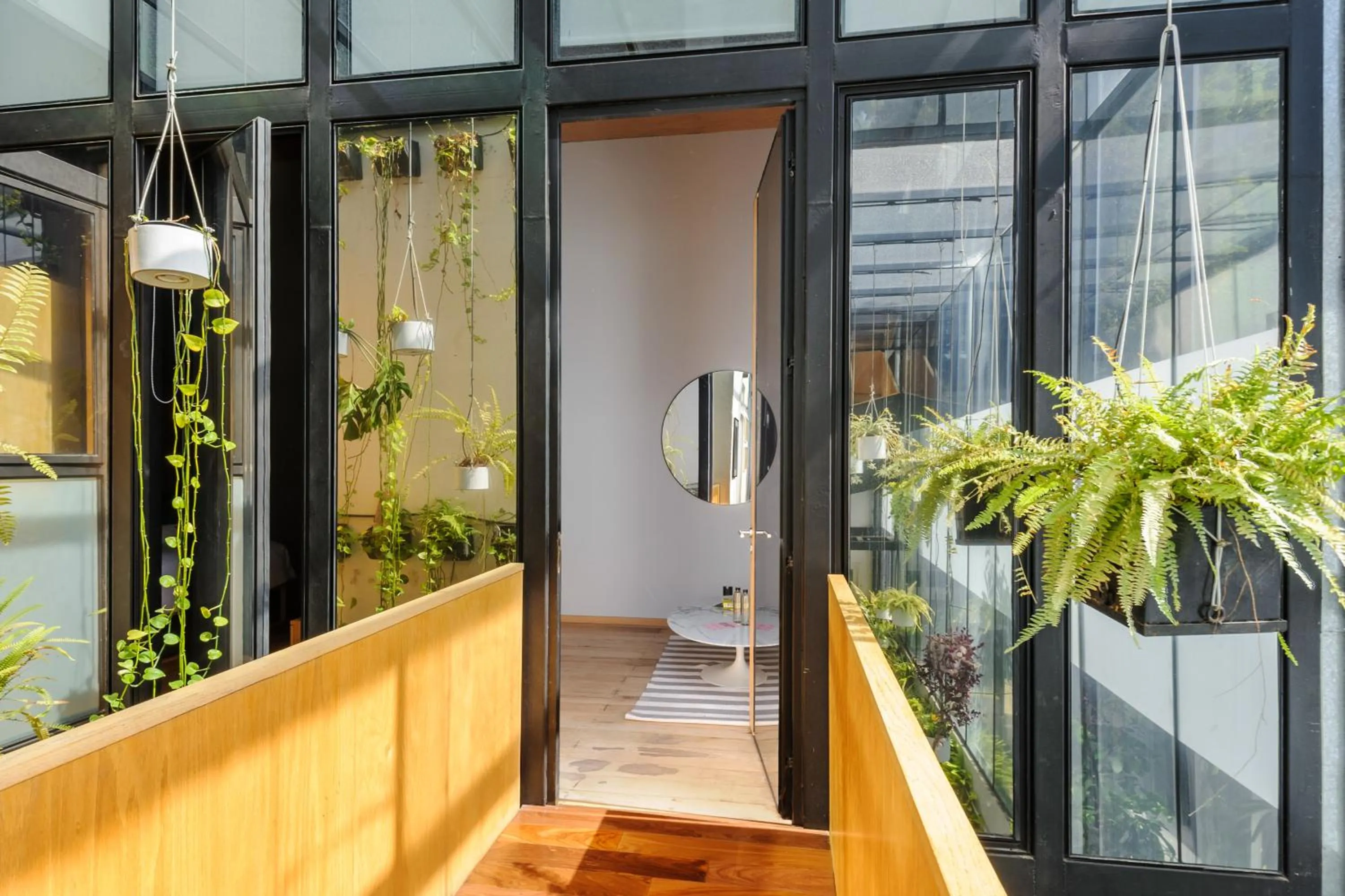 Garden in Casa Wynwood Roma Norte