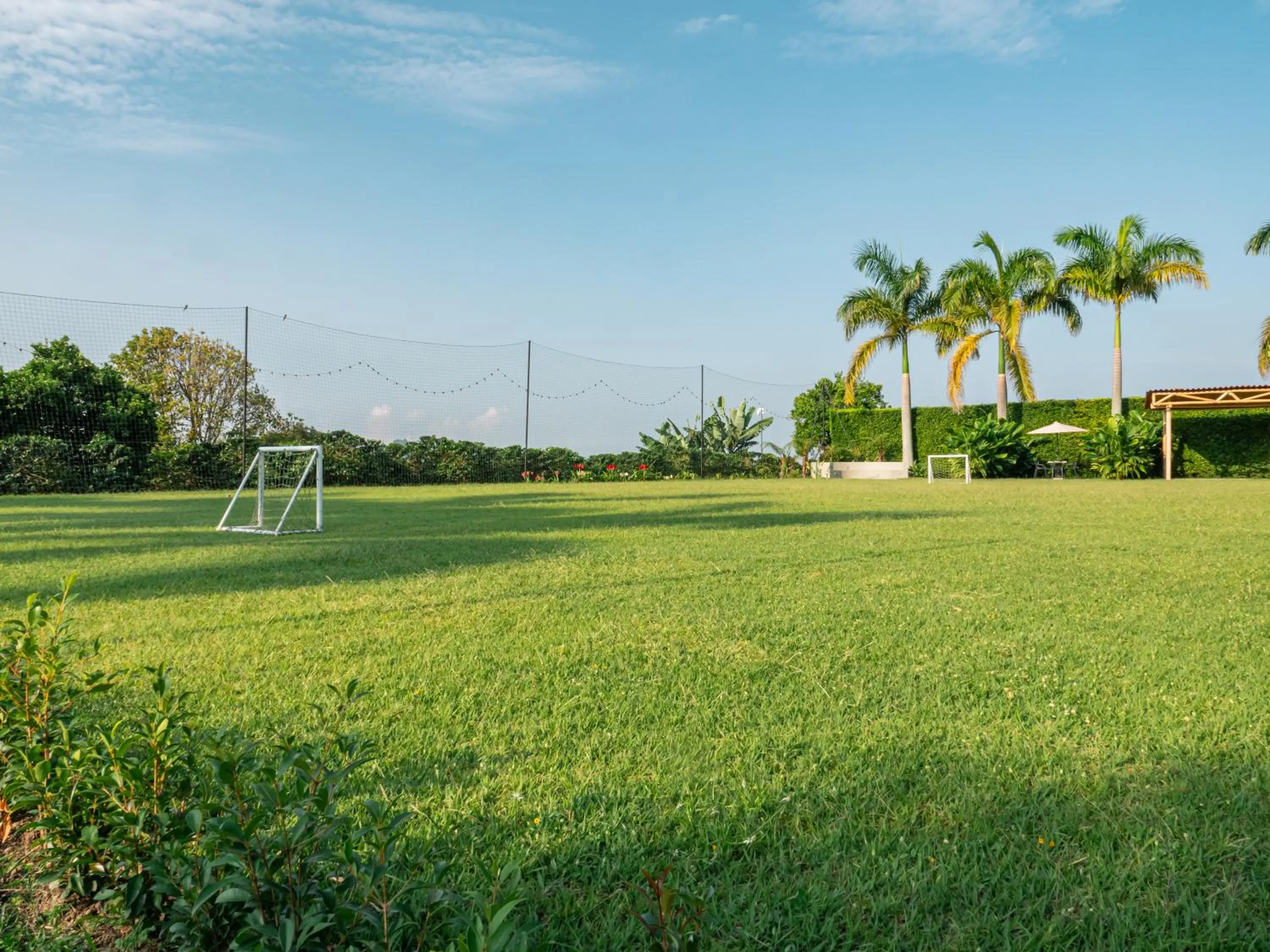 Garden in Atardeceres del Cafe