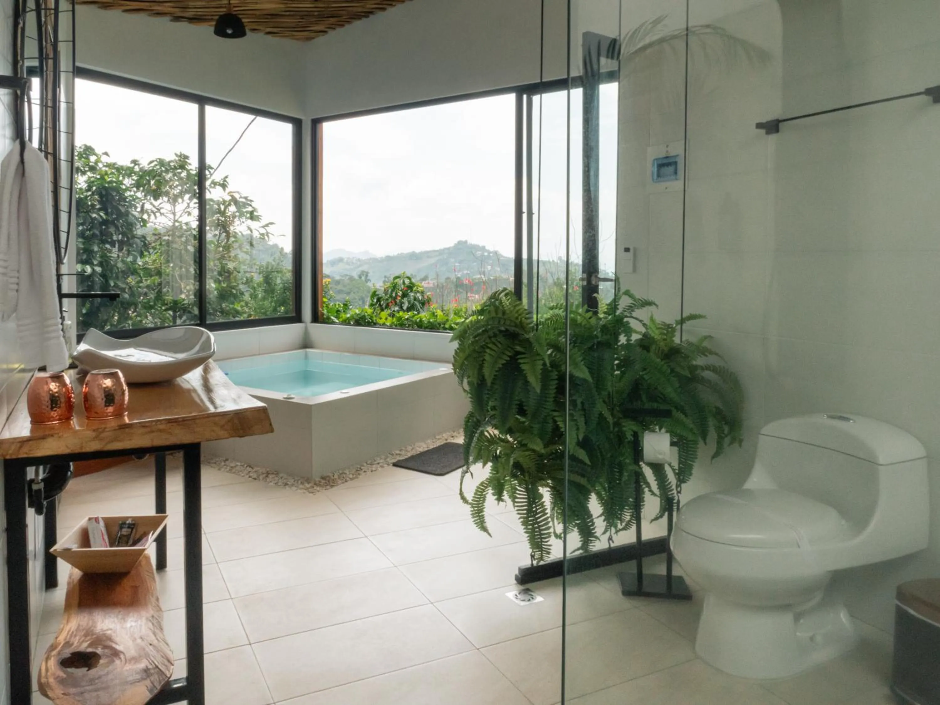 Natural landscape in Atardeceres del Cafe