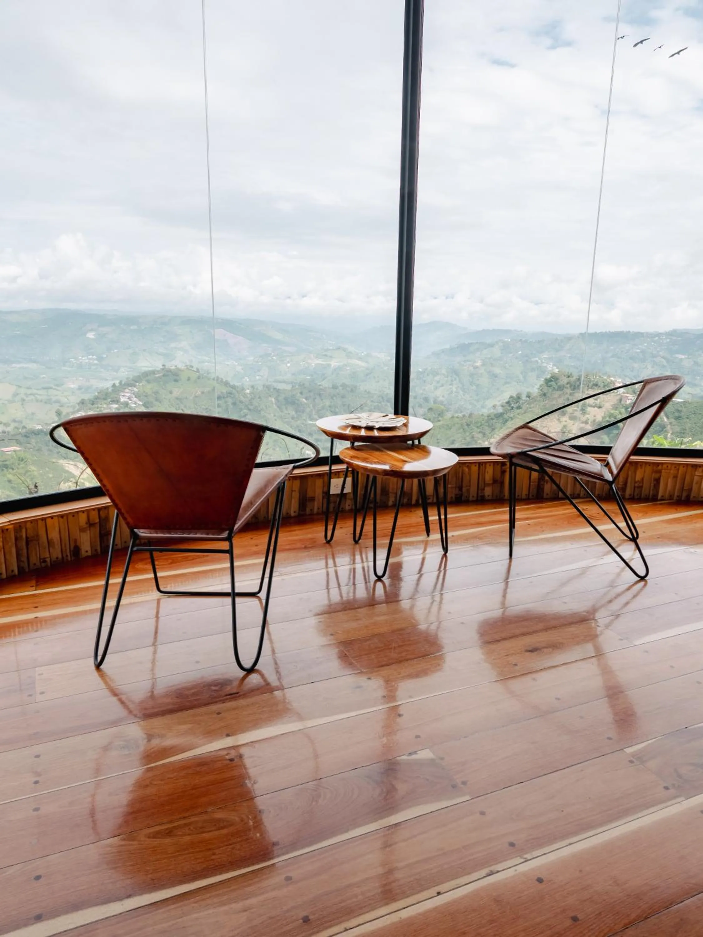 Natural landscape in Atardeceres del Cafe