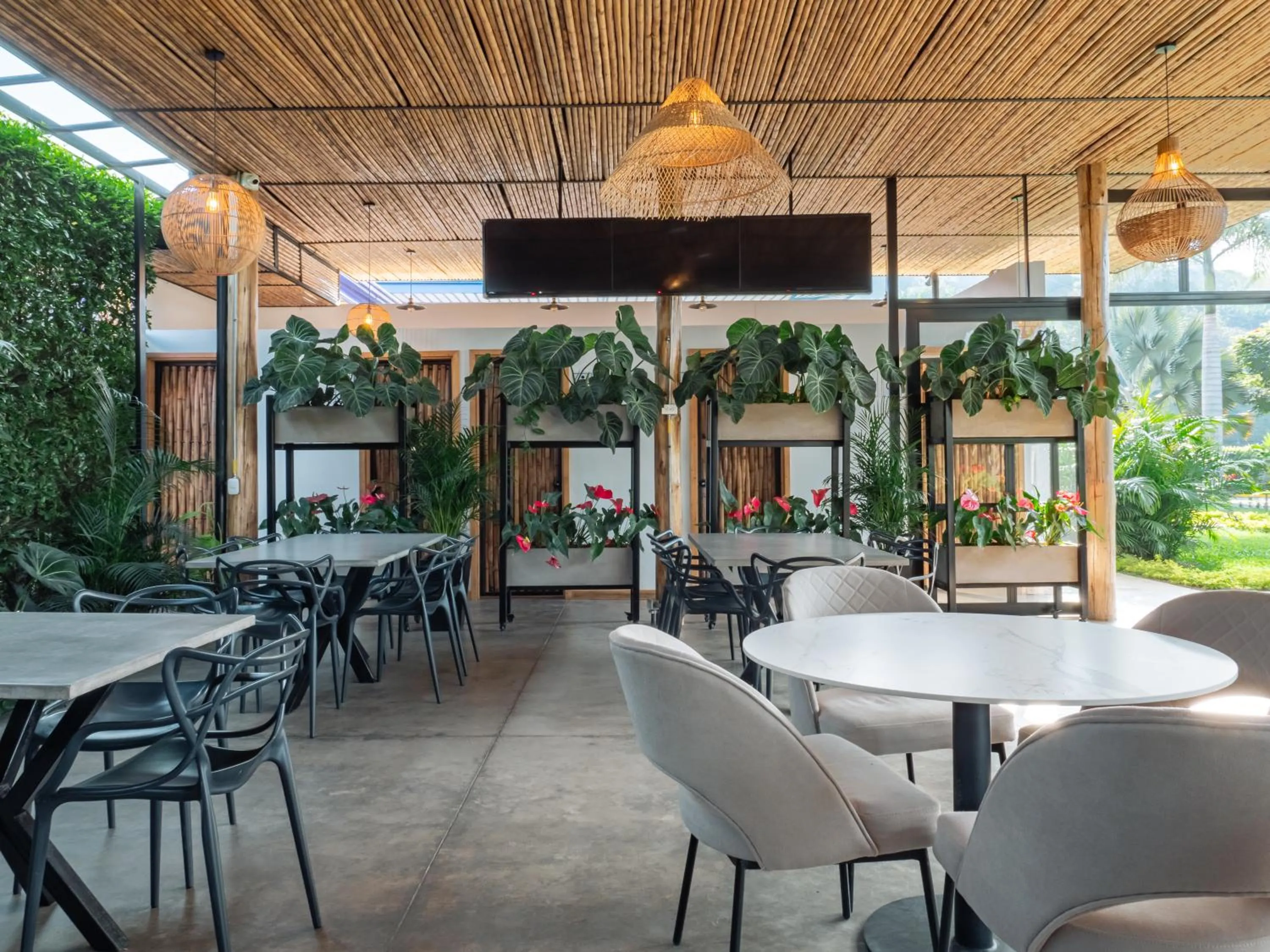 Restaurant/places to eat in Atardeceres del Cafe