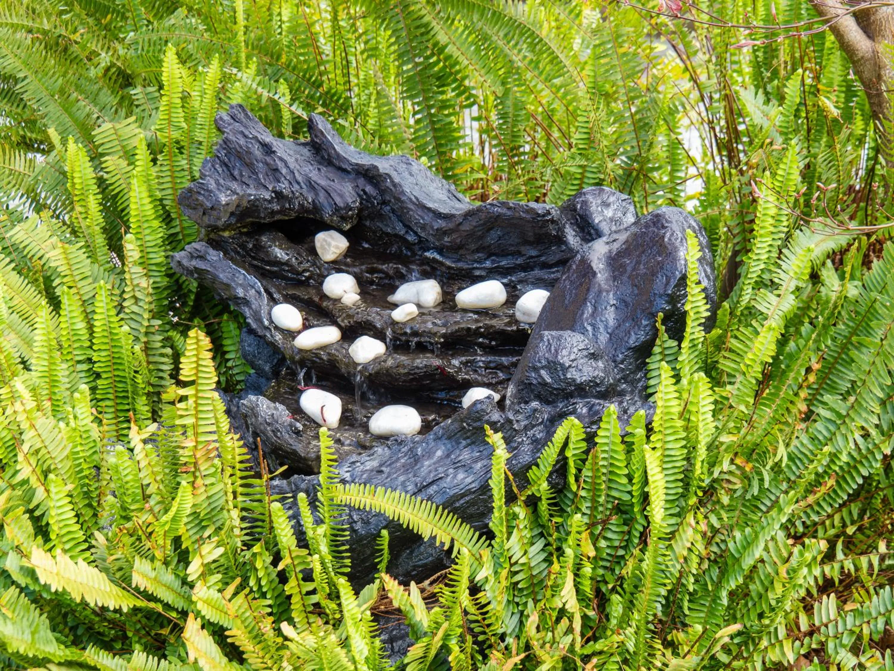 Garden in Hotel Casa del Marqués