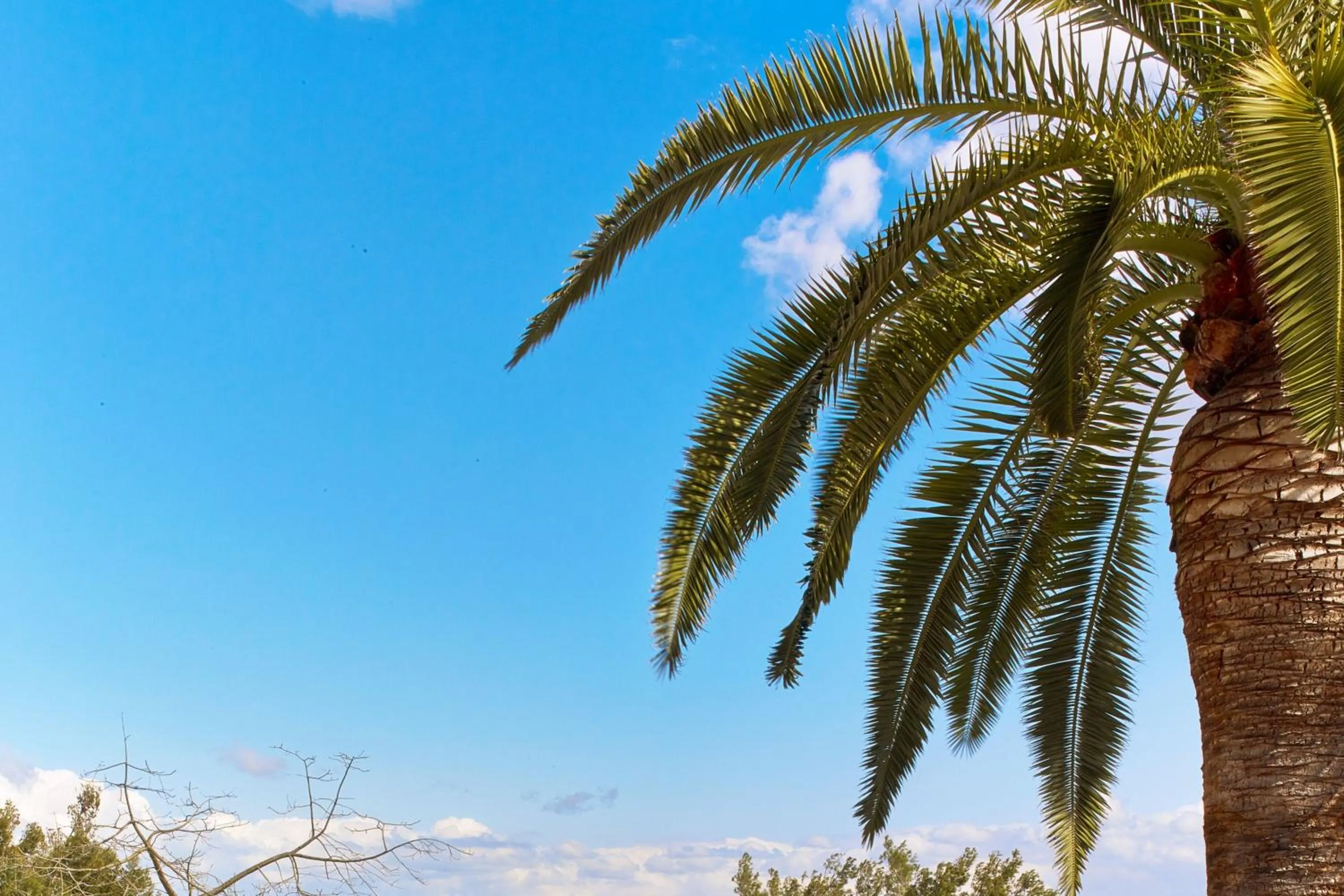 Meeting/conference room in Castillo Hotel Son Vida, a Luxury Collection Hotel, Mallorca