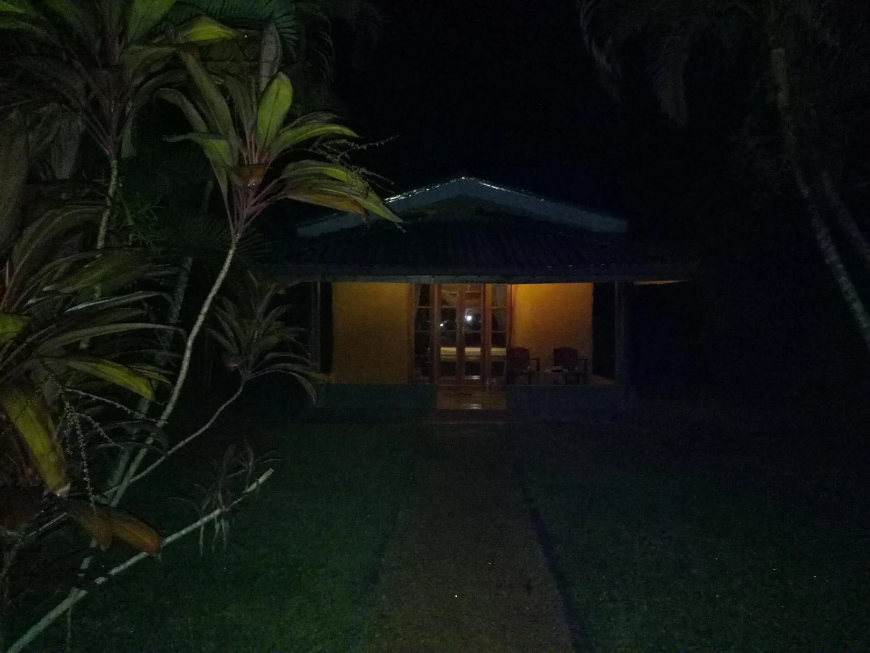 Mangrove villa - Yoga & Ayurveda