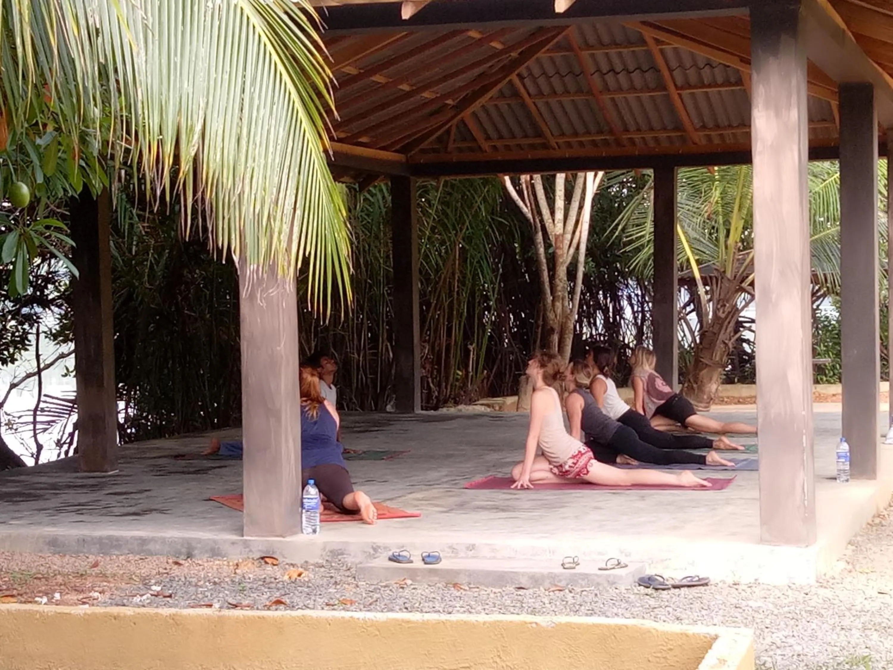 Mangrove villa - Yoga & Ayurveda