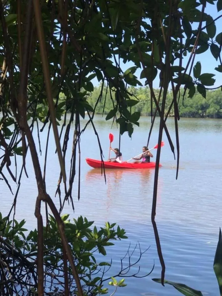 Mangrove villa - Yoga & Ayurveda