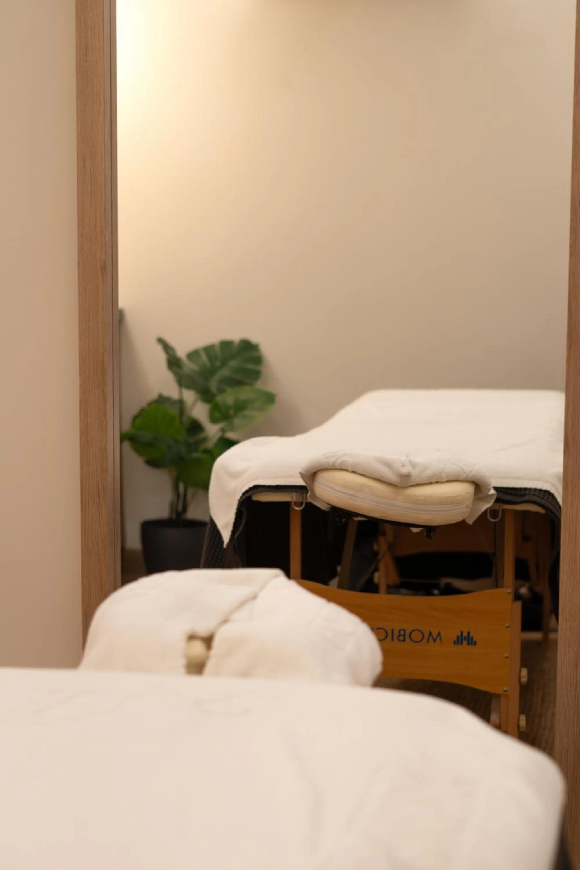 Massage in Hotel Na Taconera